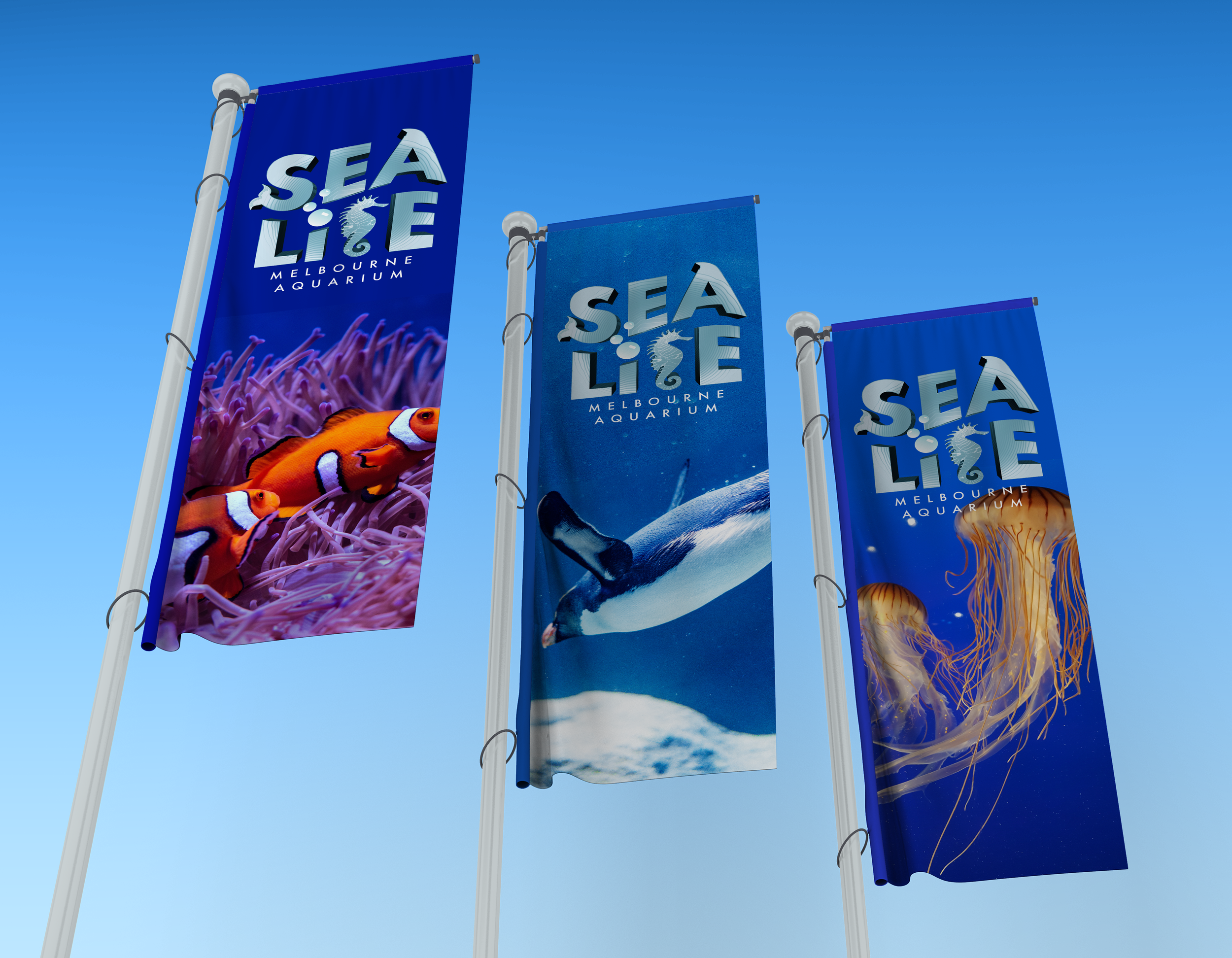 Sea life - Re brand