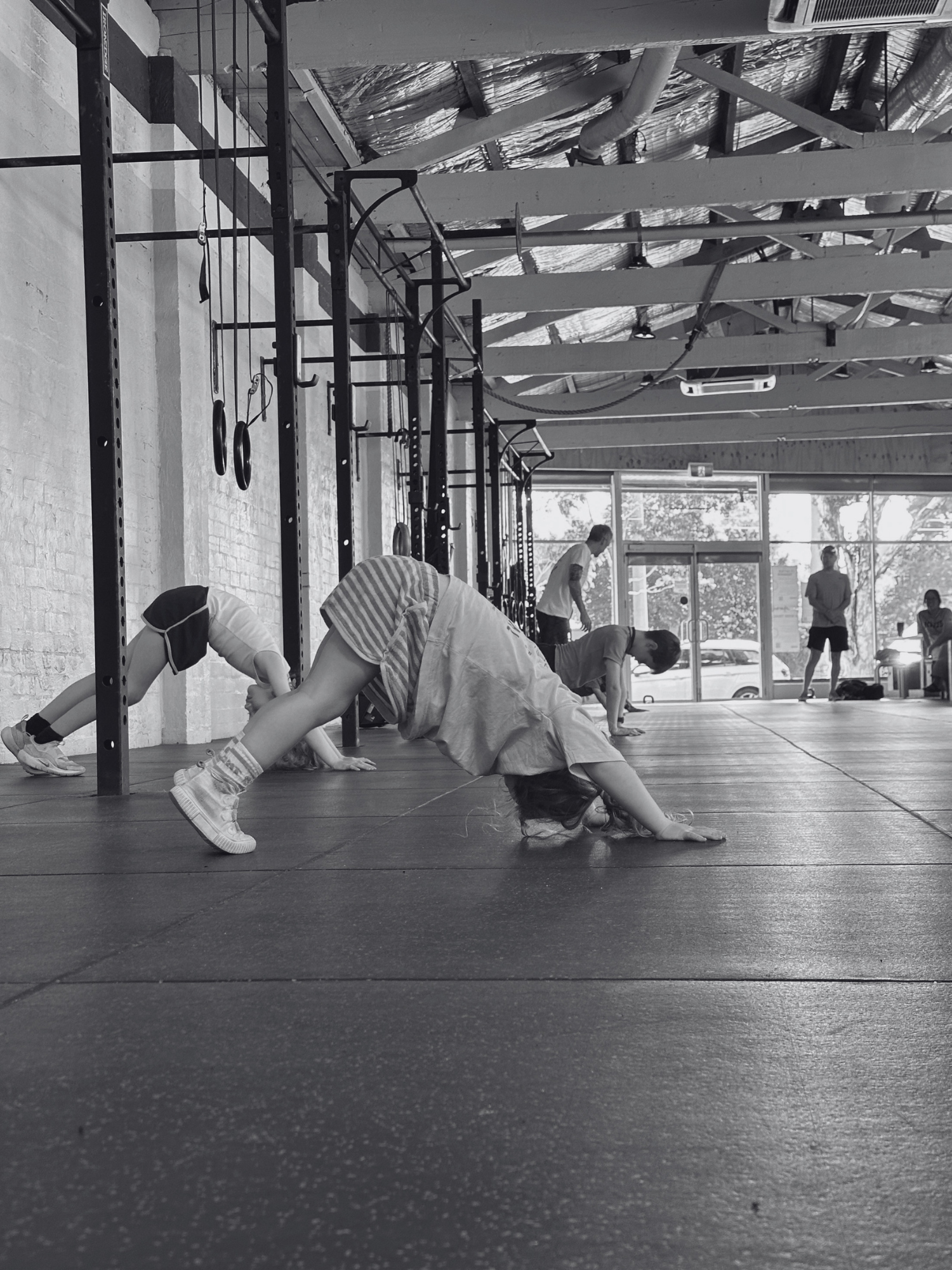 People participating in a fitness class in a gym with large windows, exercising on the floor in a plank position.
