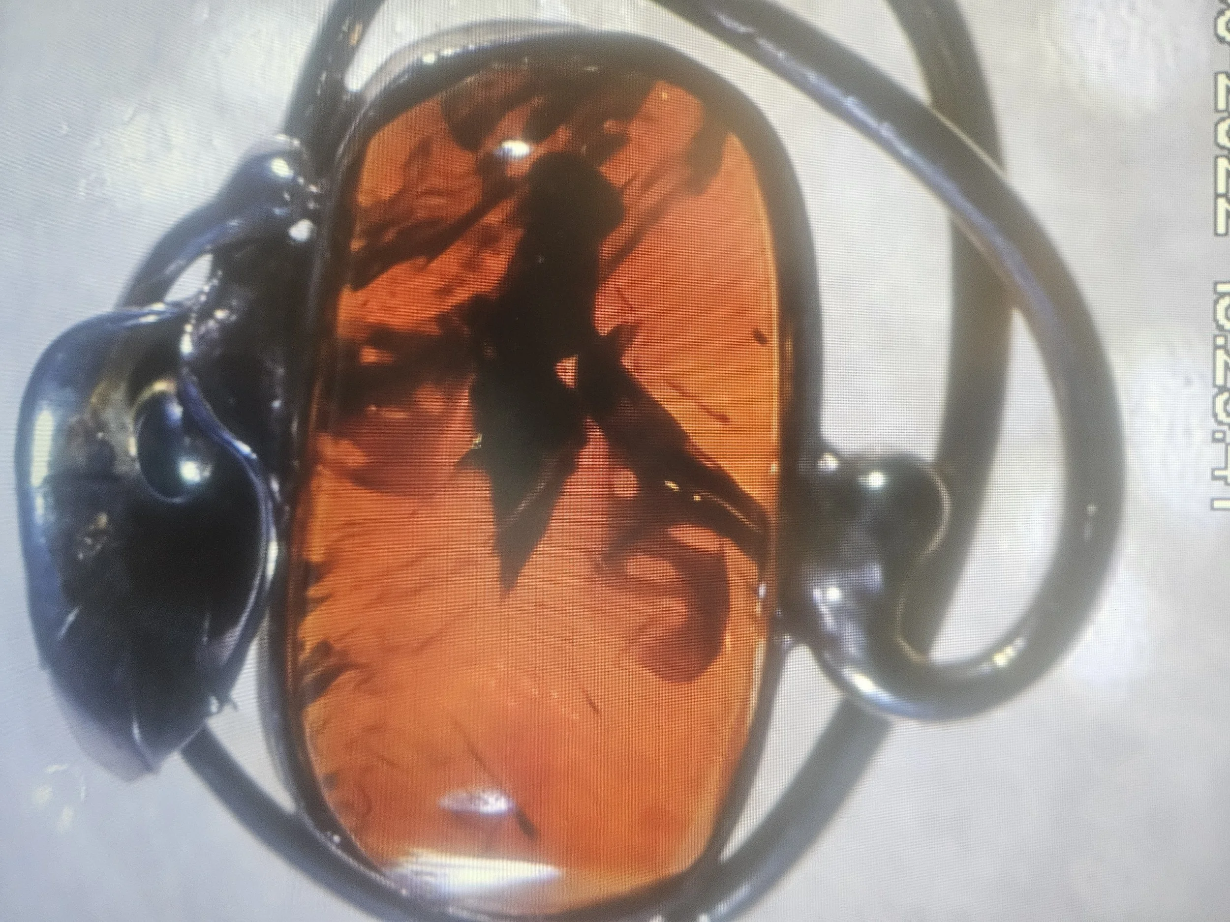 Insect cognac amber silver pendant .jpg