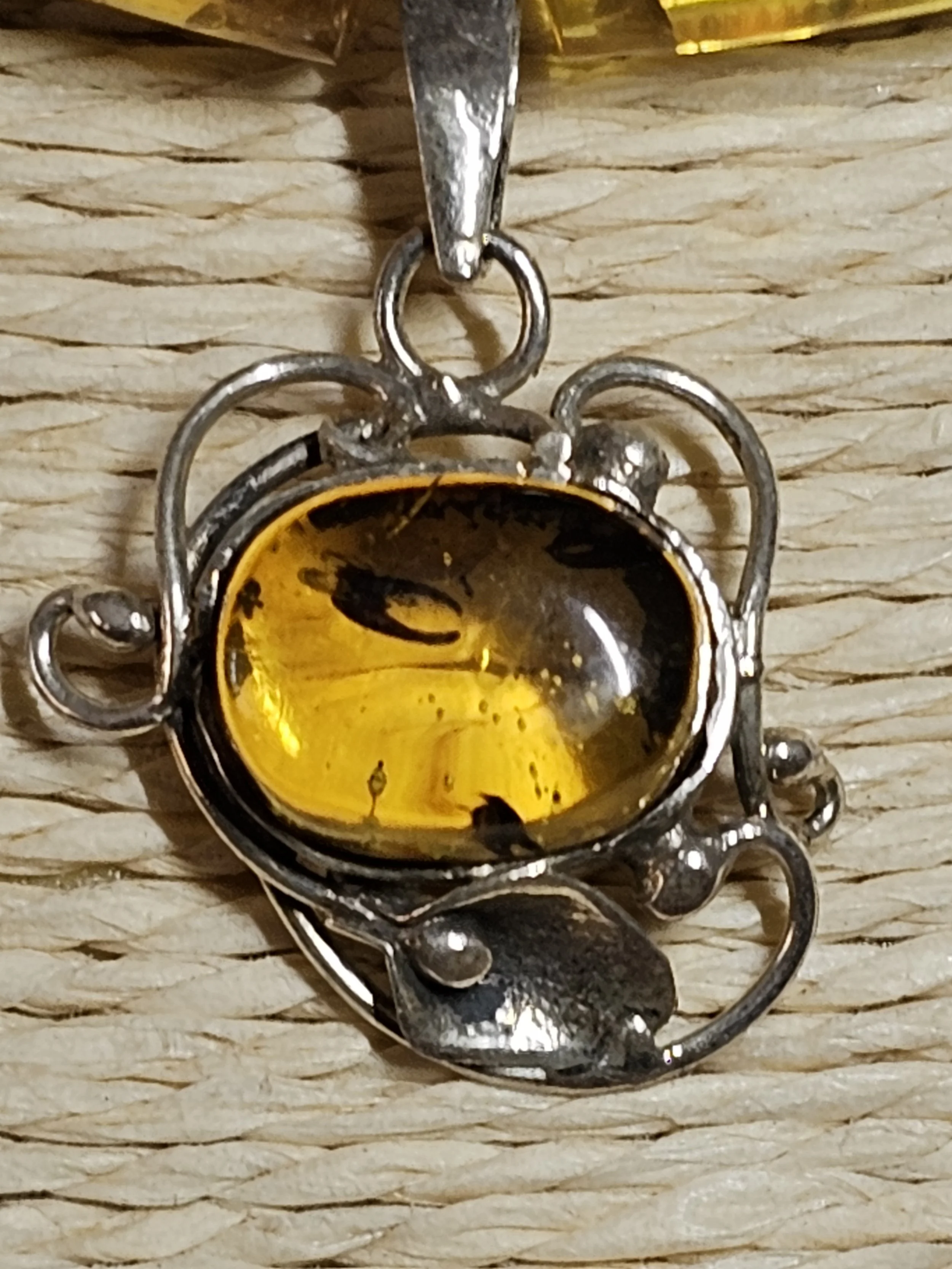 Amber Prehistoric Claw Pendant.jpg