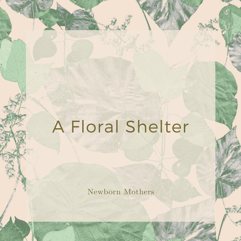 A Floral Shelter