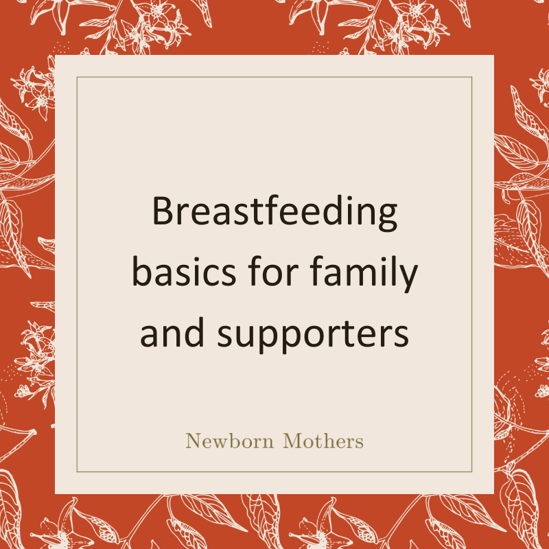Breastfeeding basics for family and supporters