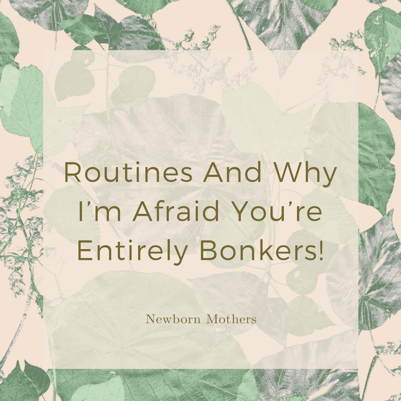 Routines And Why I’m Afraid You’re Entirely Bonkers!