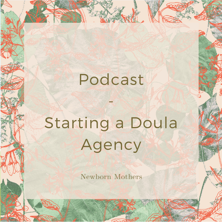 Starting a Doula Agency