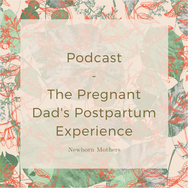  The Pregnant Dad's Postpartum Experience