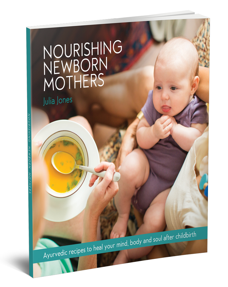 Book cover titled 'Nourishing Newborn Mothers' by Julia Jones, featuring a mother feeding a baby with soup, a newborn lying on her lap