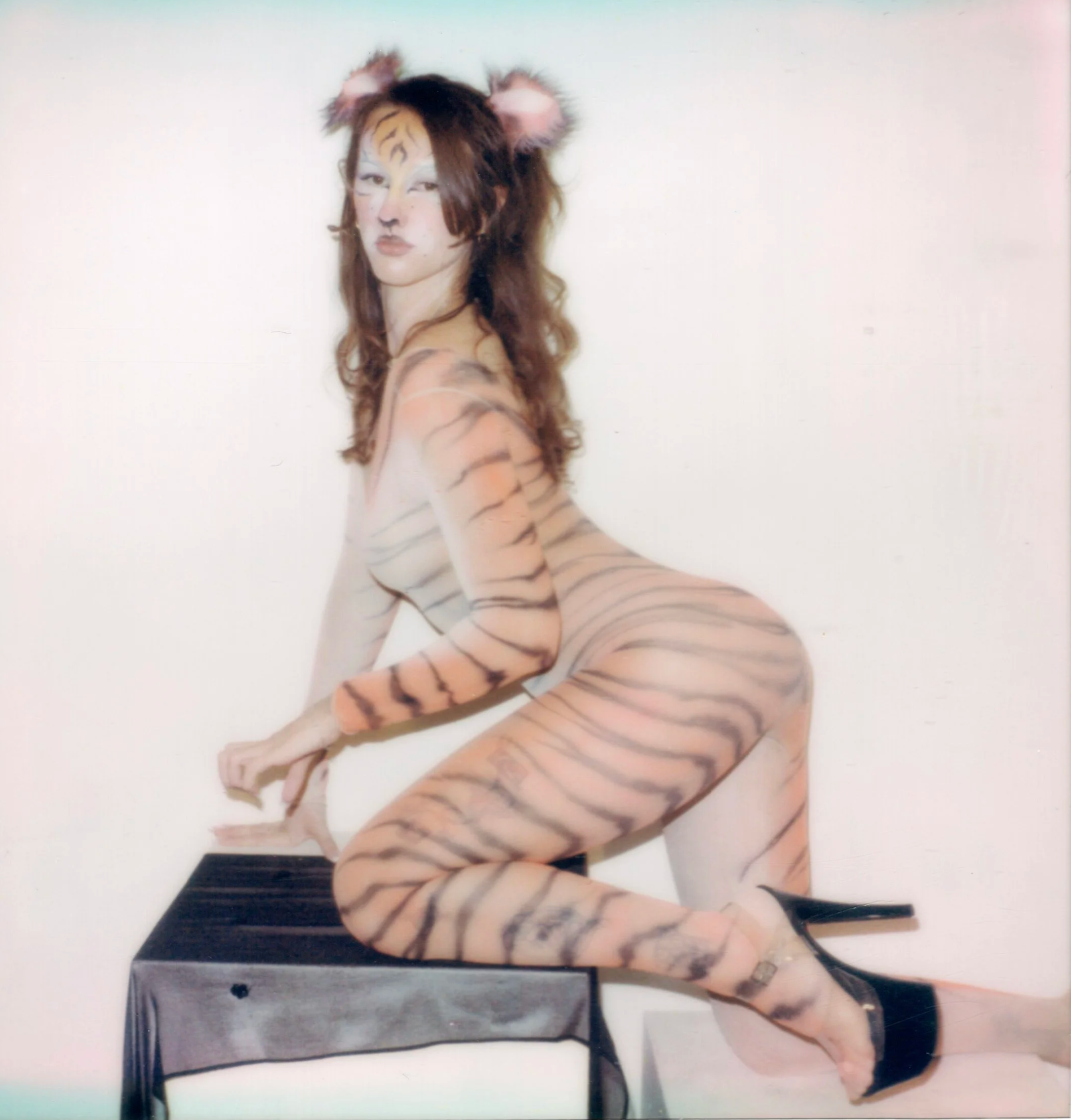 mia+x+frankie+cat+and+dog+16SEP2026+wmf+POLAROIDS0006.png