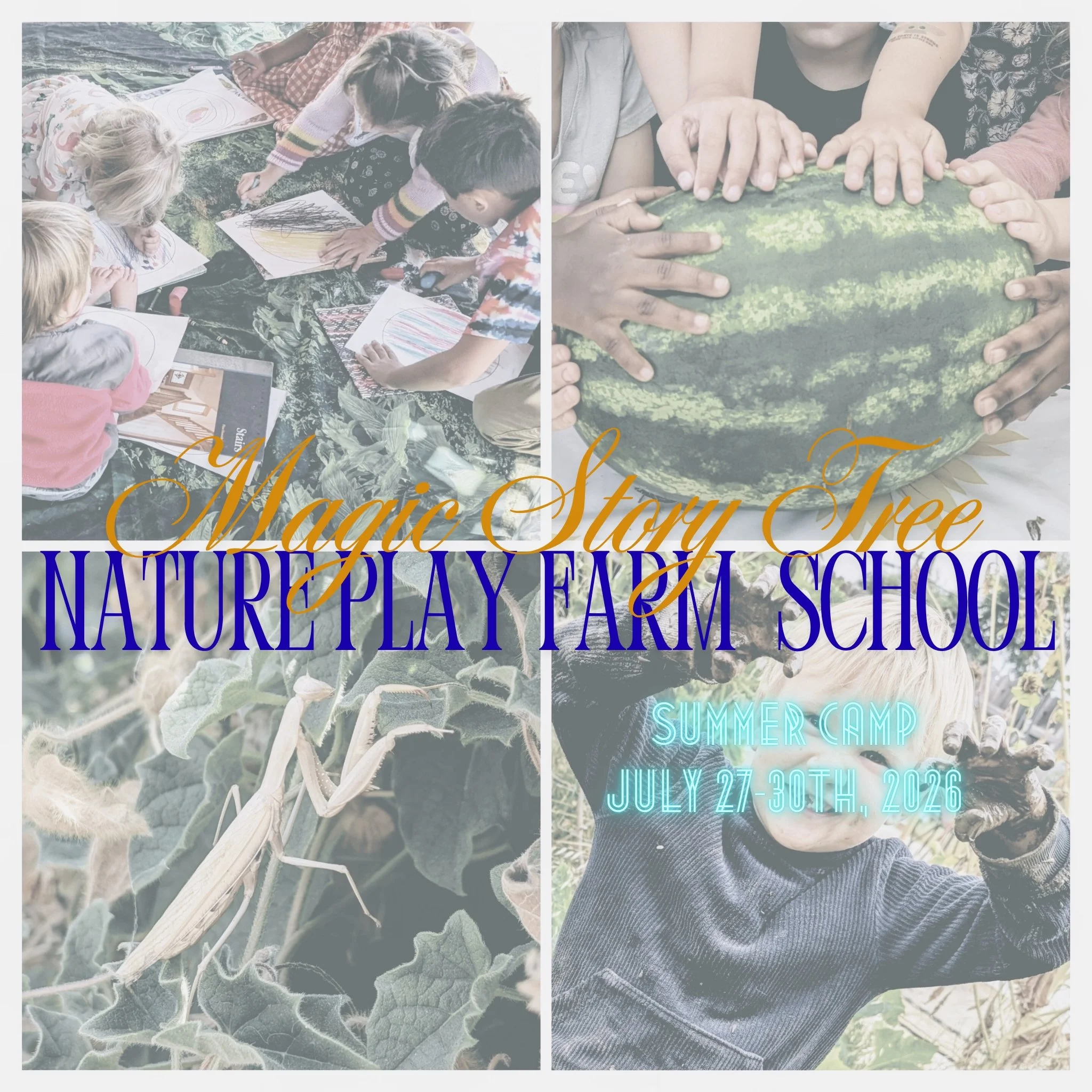Magic Story Tree Summer Camp 