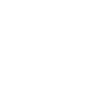 Transparent Expert Guidance icon
