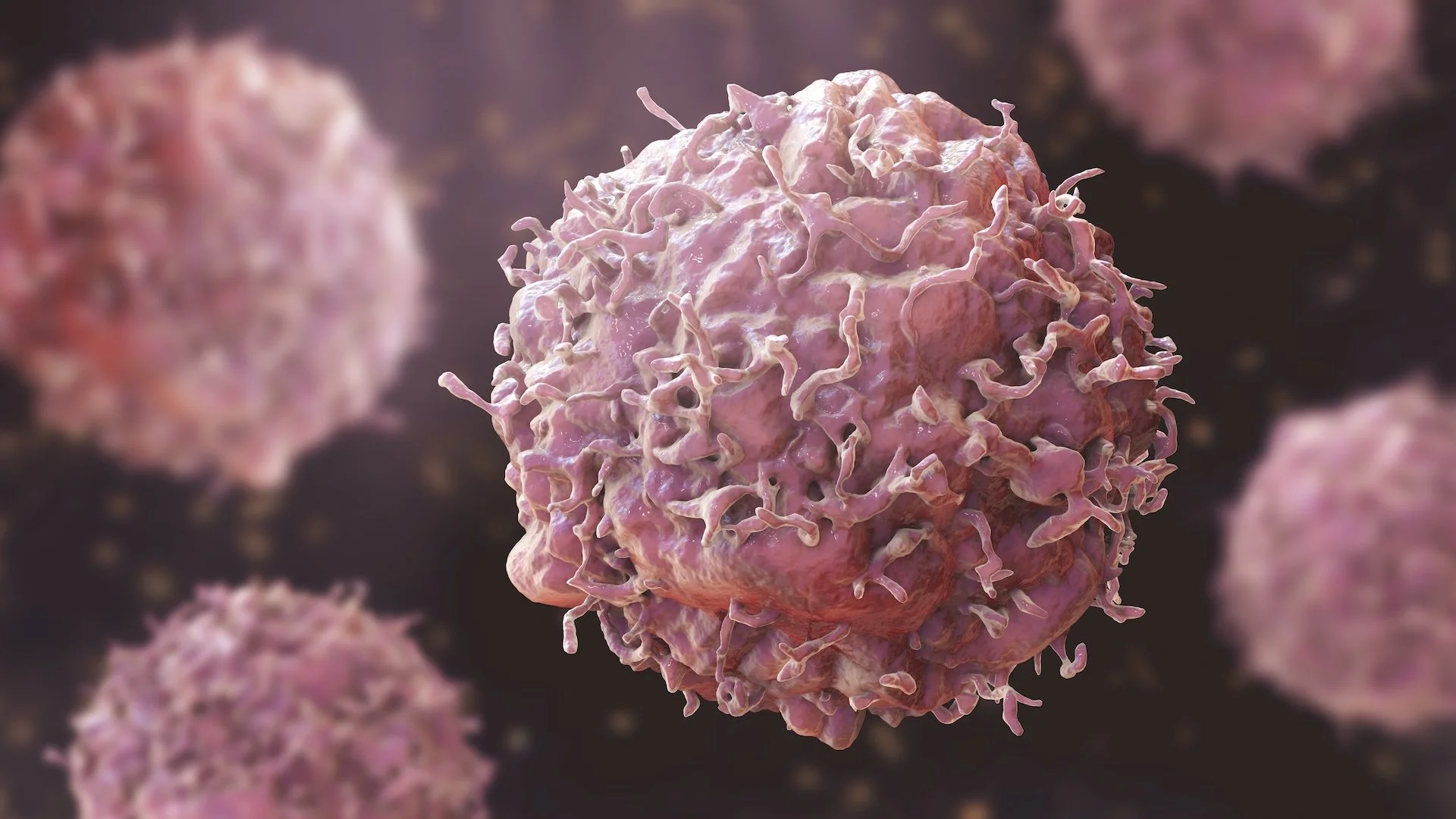 Beyond the Tumour: Why True Cancer Recovery Means Changing the Terrain
