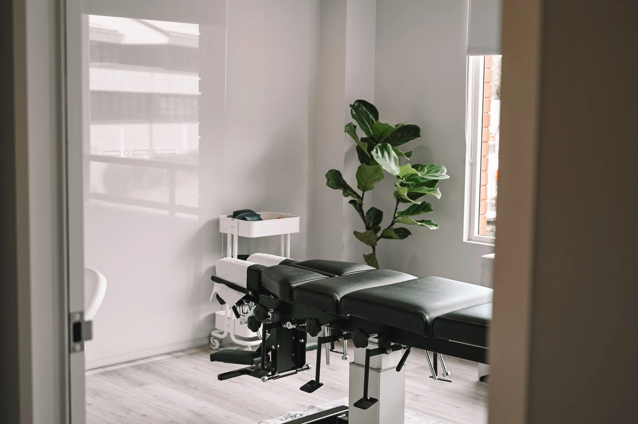 A treatment room with a black chiropractic or massage table, a potted fiddle leaf fig plant, a small white side table, and window letting in natural light.