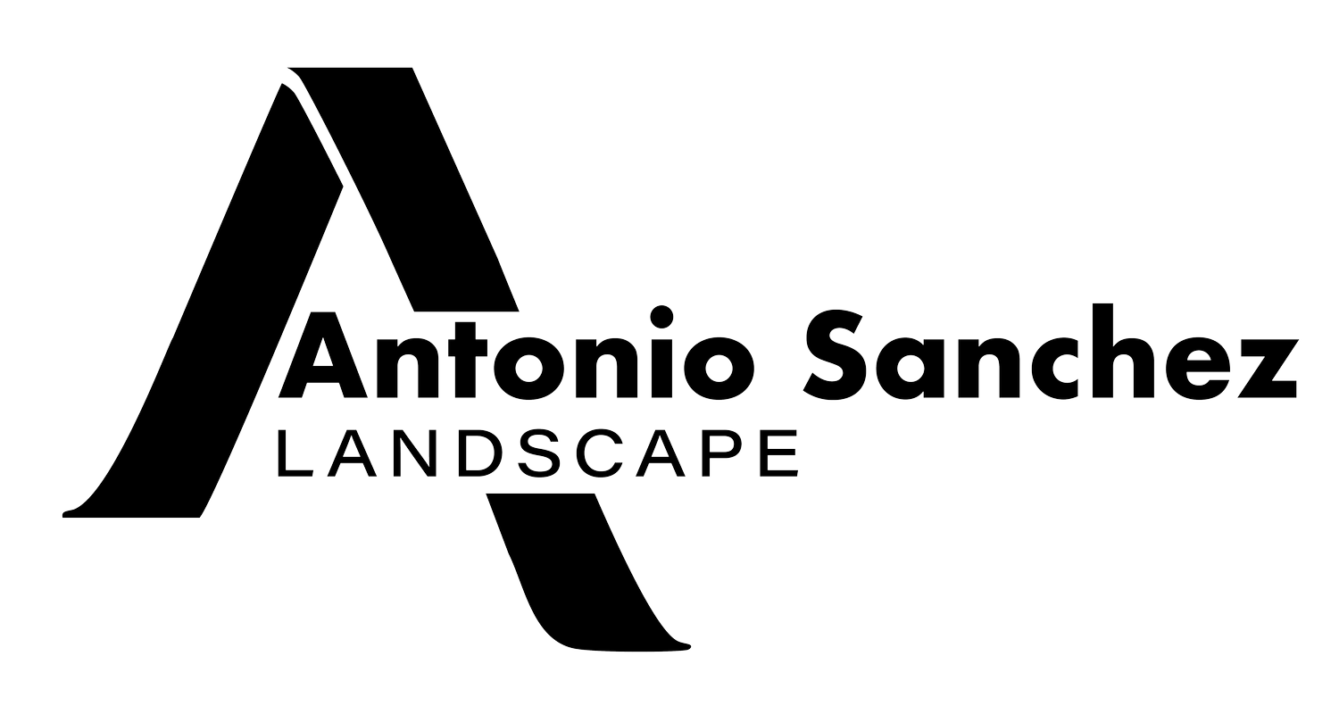 Antonio Sanchez 