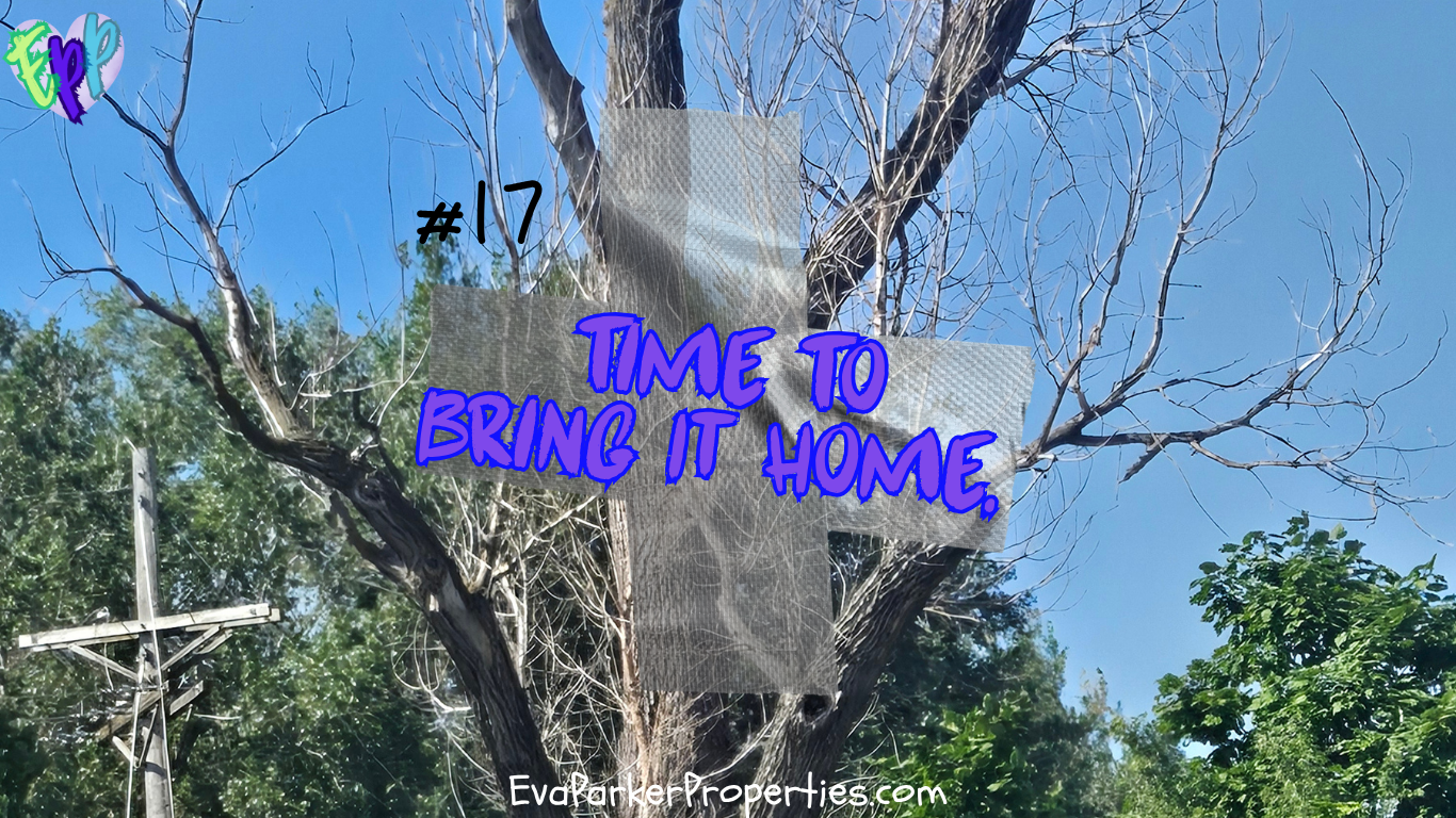 16*)Coming Home to Khaos…