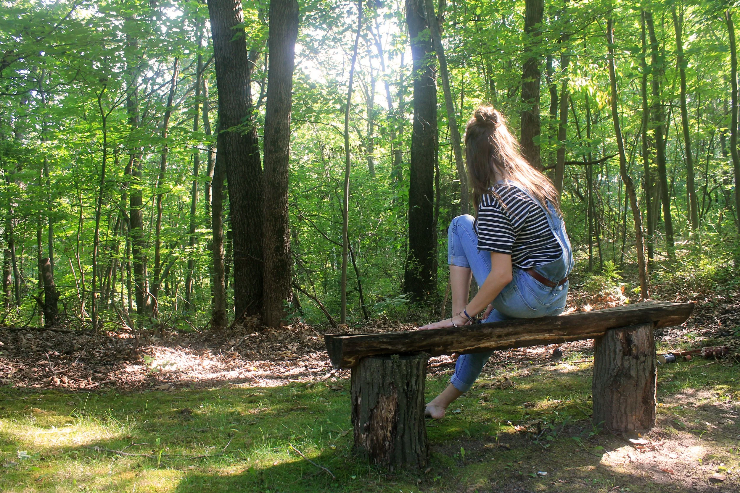Uprooted