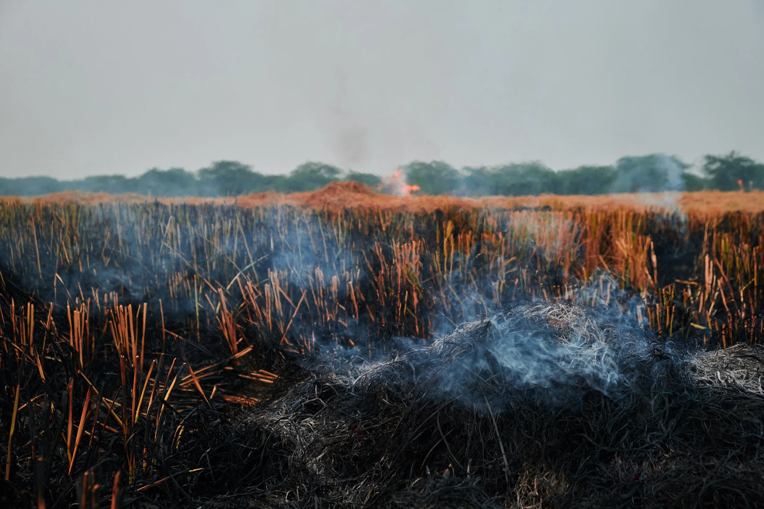 Shiv Ahuja_DSF2160_Ikea.jpg