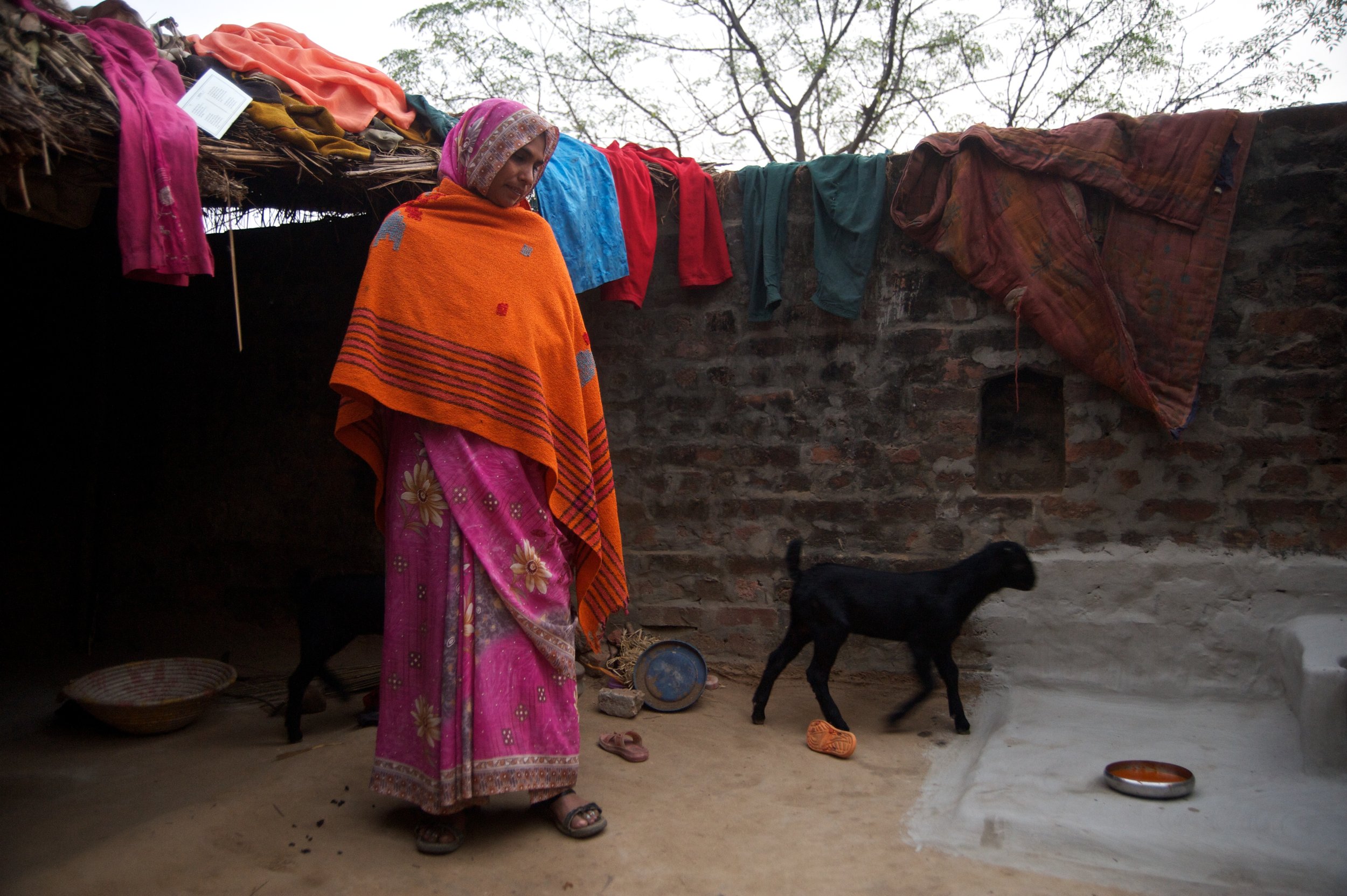 Shiv Ahuja_Shiv Ahuja__DSC6655.jpg