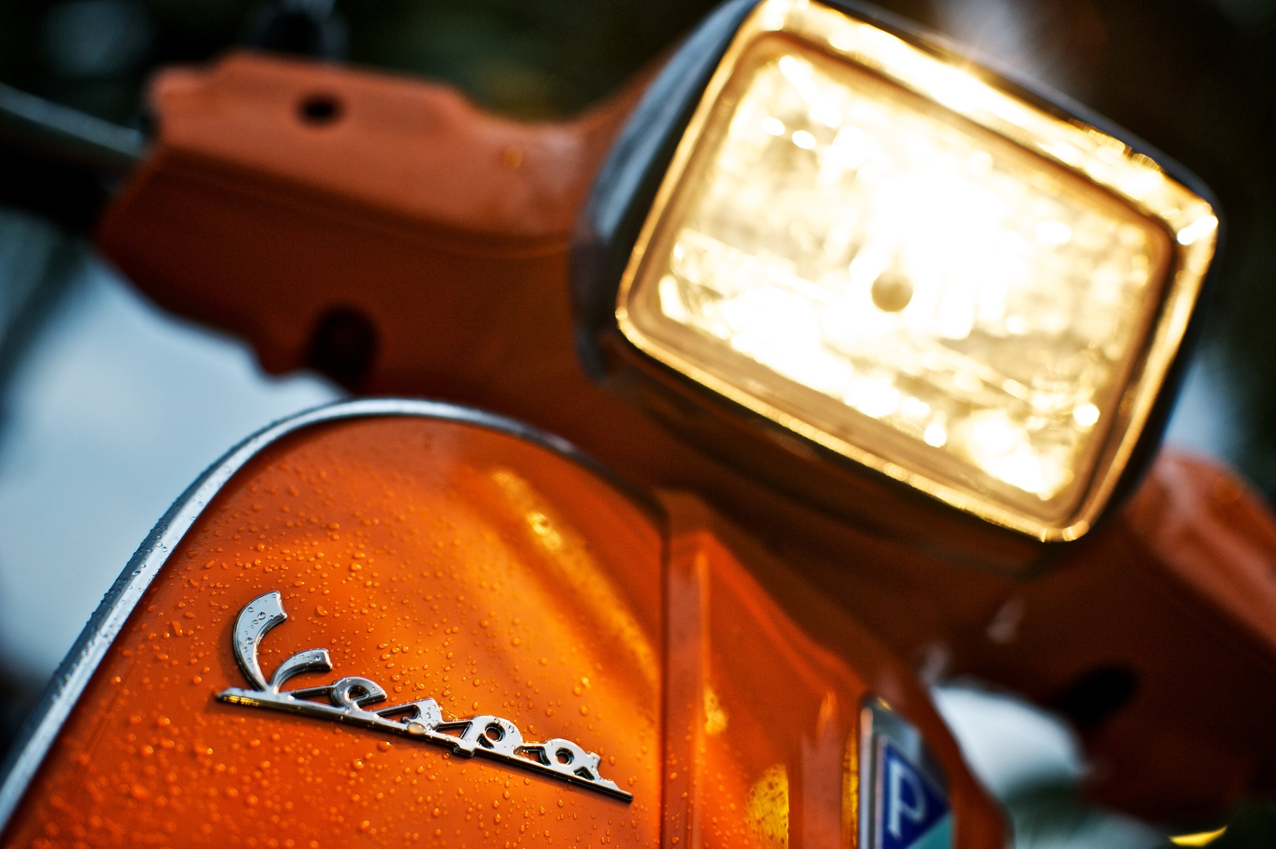 Shiv Ahuja__DSC4891.jpg