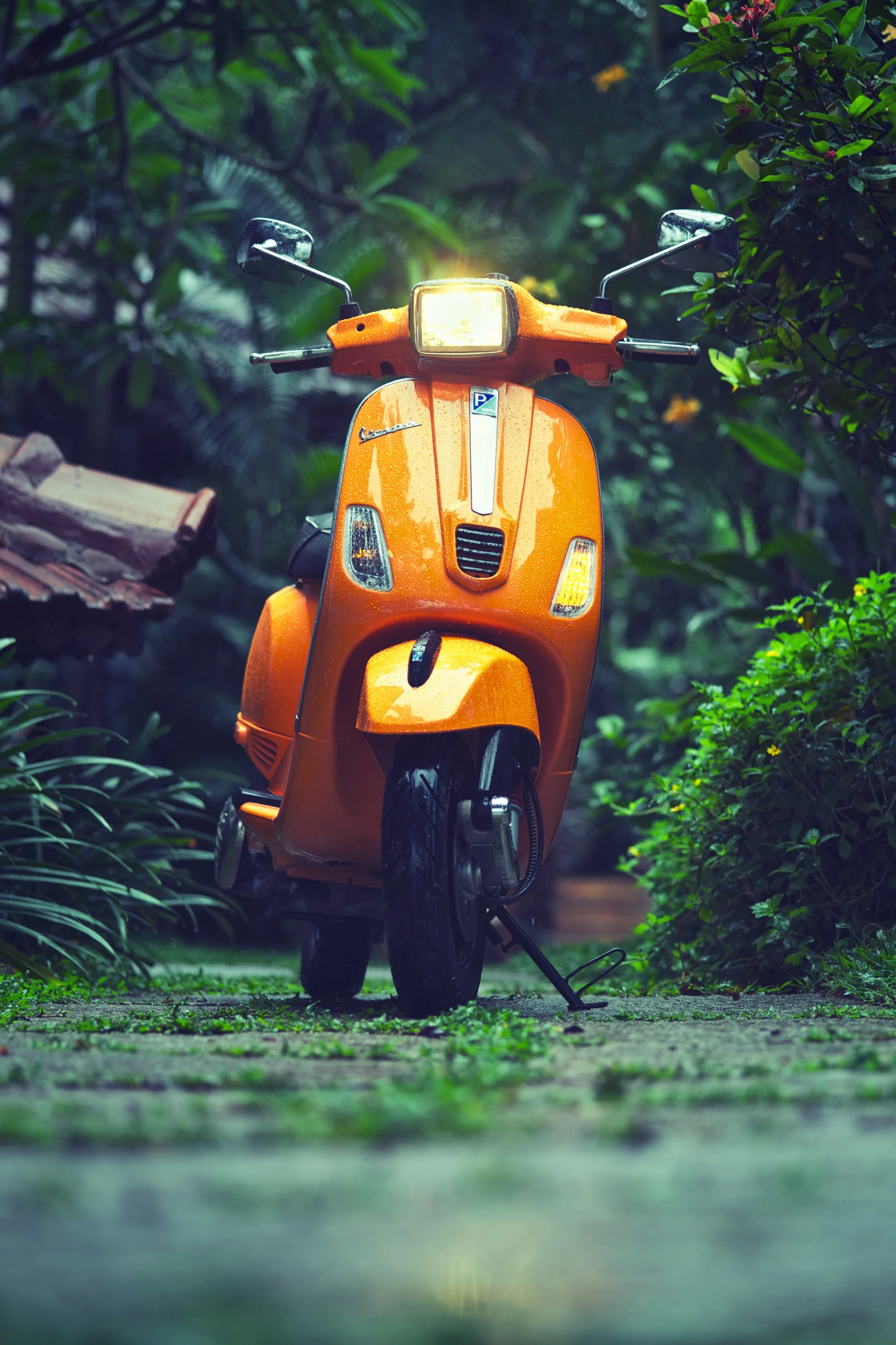 Shiv Ahuja__DSC4794.jpg