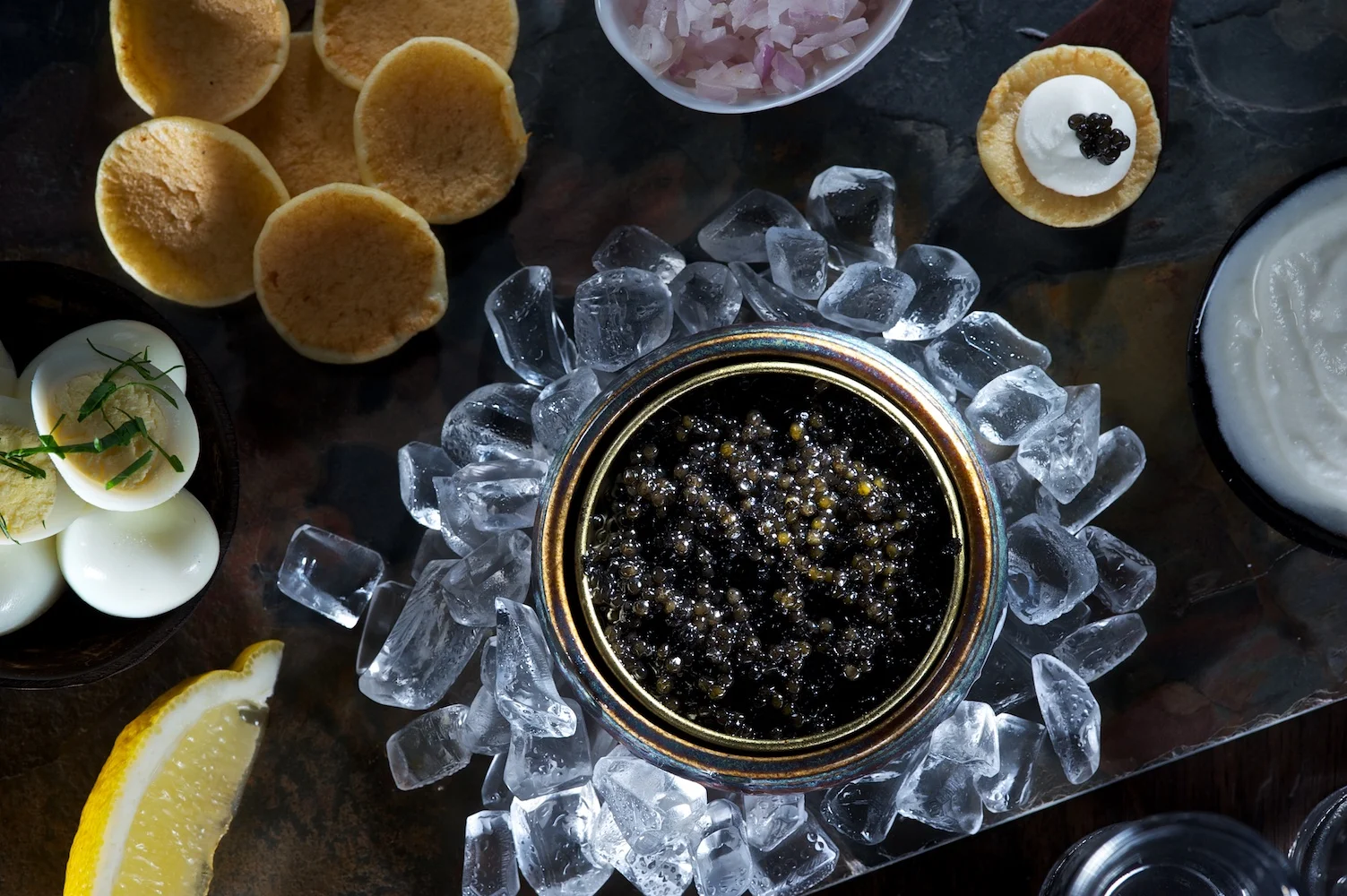 Shiv Ahuja__DSC3155.jpg