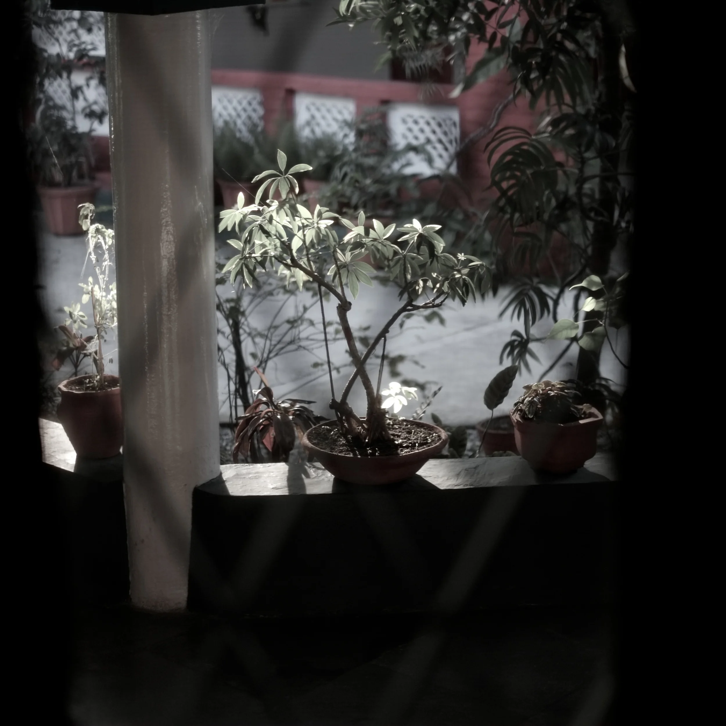 29_Shiv Ahuja_DSF6006.jpg