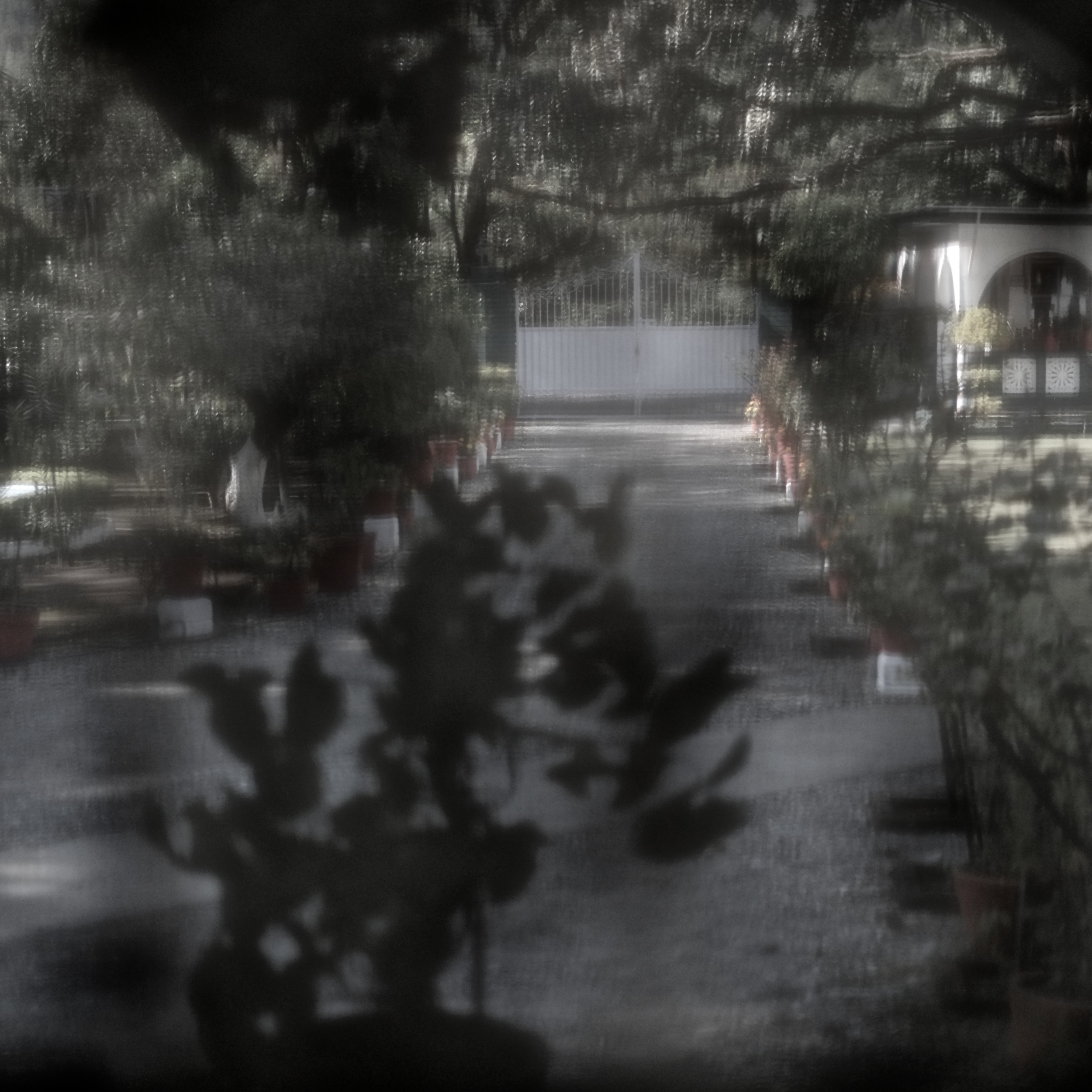 31_Shiv Ahuja_DSF5988.jpg