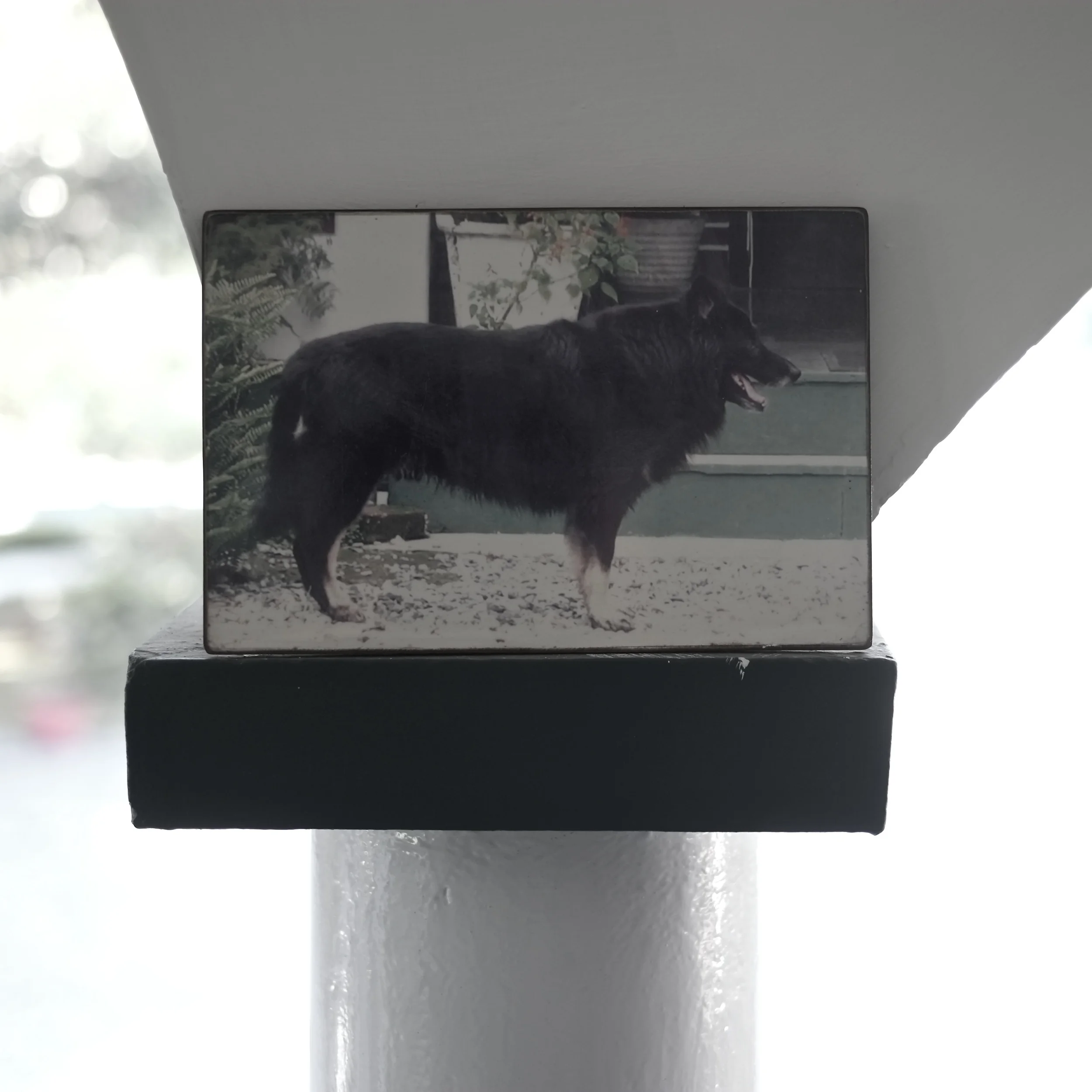 16_Shiv Ahuja_DSF5944.jpg