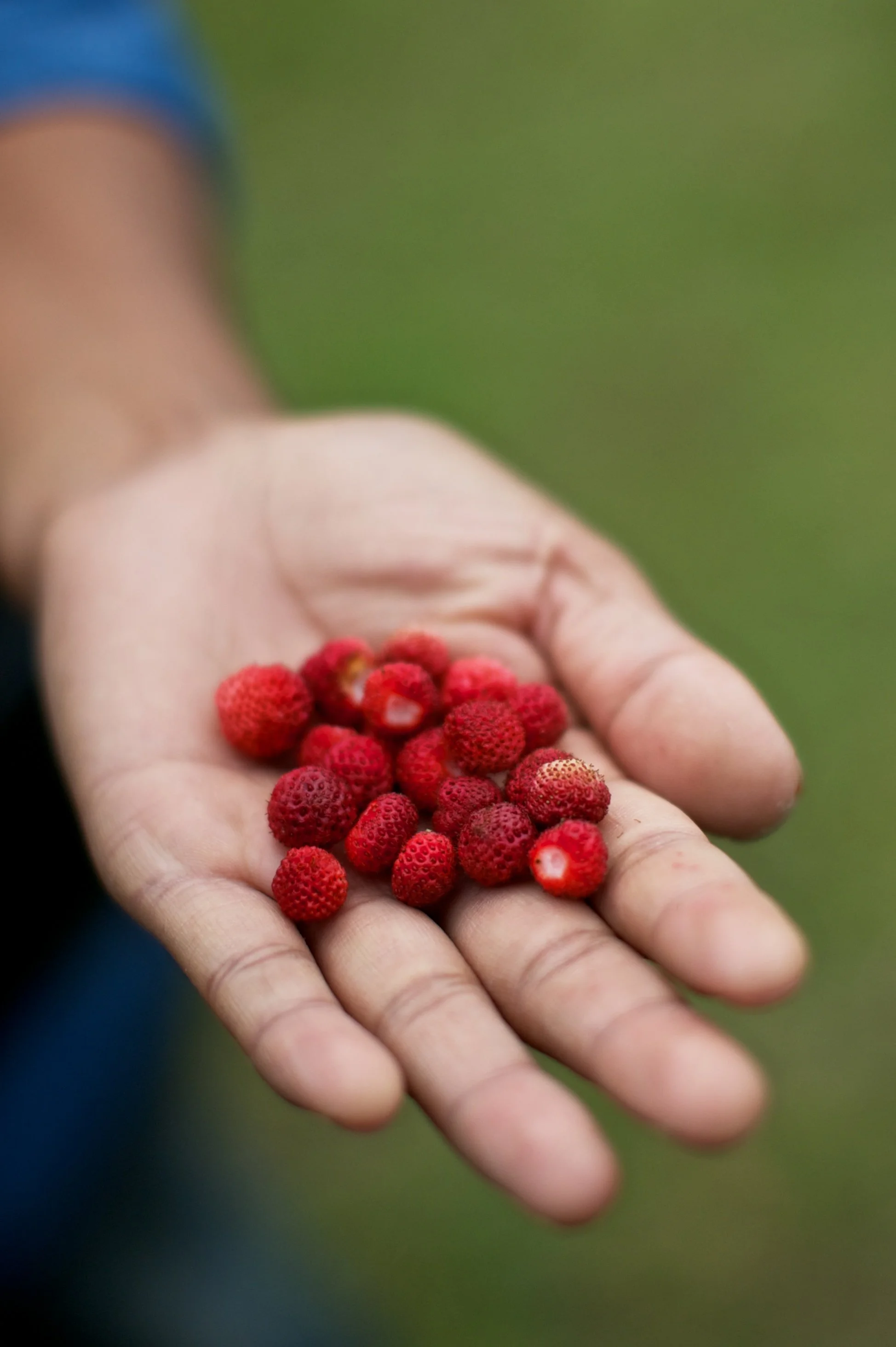 Shiv Ahuja_DSC3239.jpg