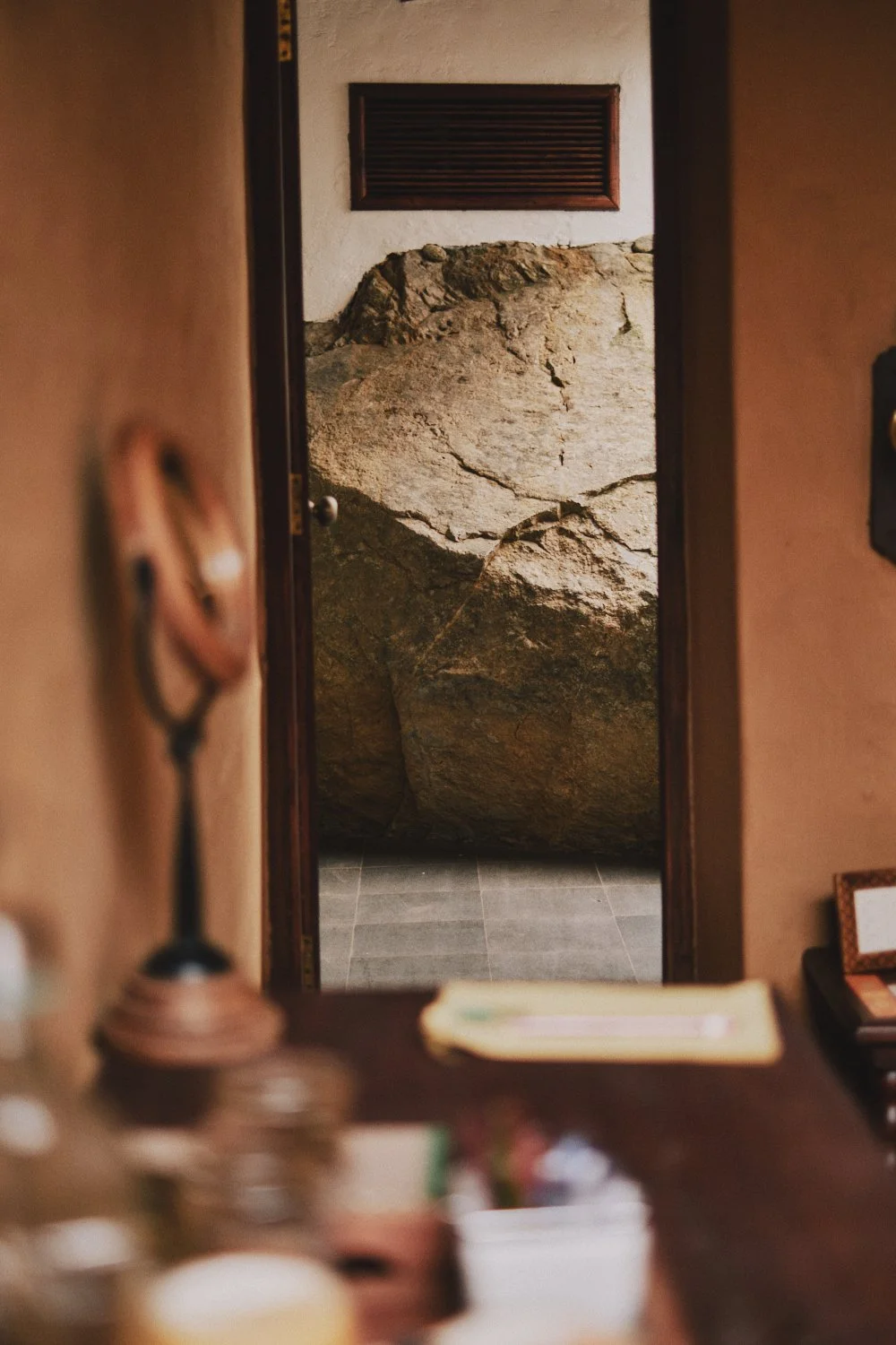 Shiv Ahuja_DSF0080_Lowres.jpg