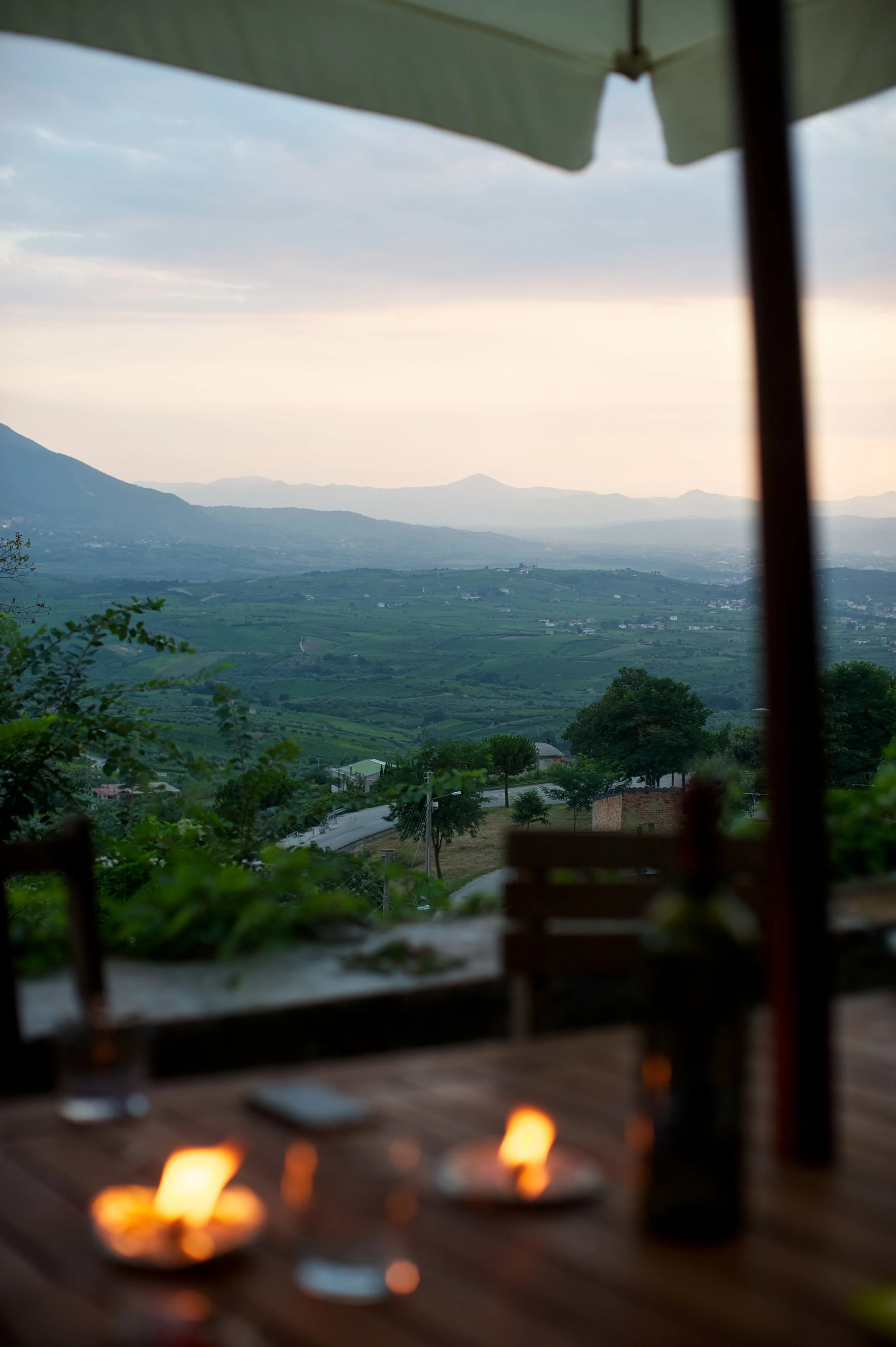 Shiv Ahuja__DSC9508.jpg