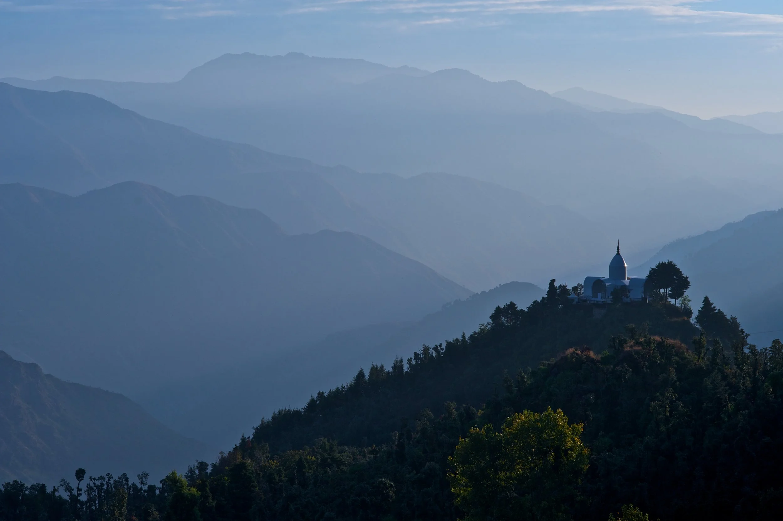 Shiv Ahuja__DSC5431.jpg