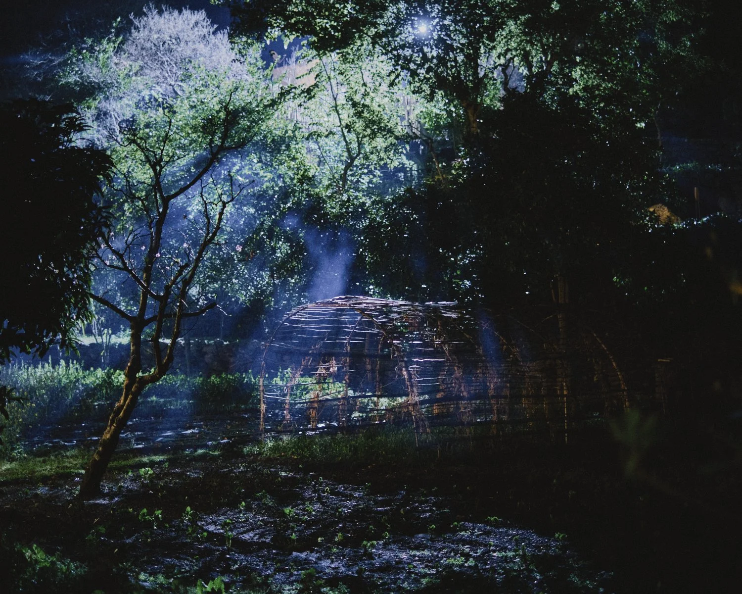 Shiv Ahuja_DSF1808_Lowres.jpg