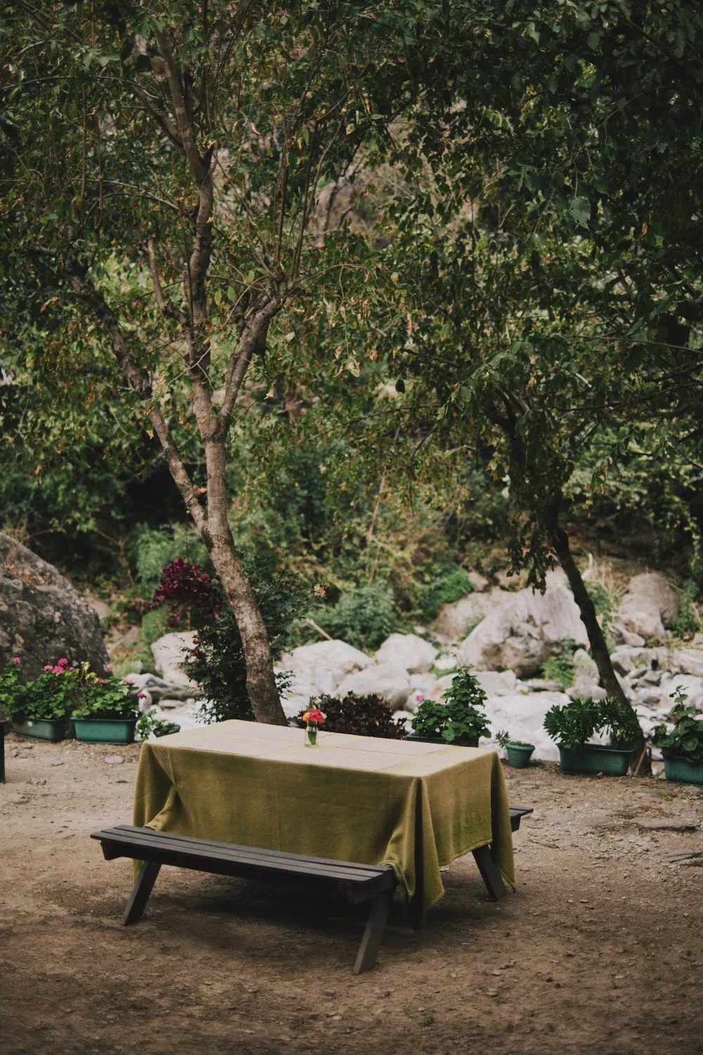 Shiv Ahuja_DSF0129_Lowres.jpg