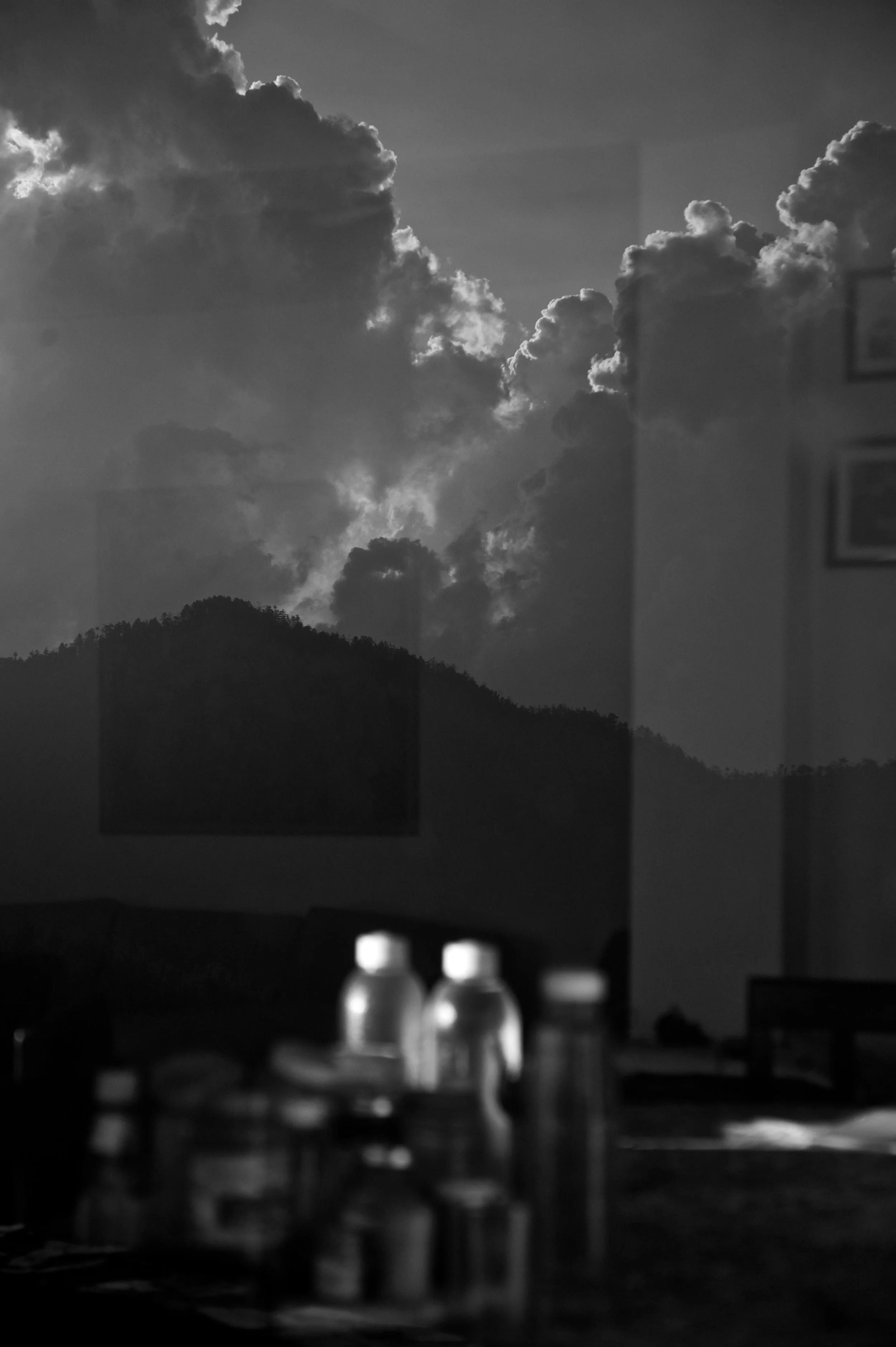 Shiv Ahuja_DSC7467.jpg