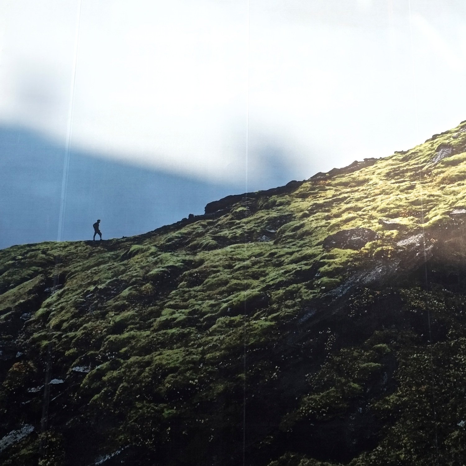 17a_Shiv Ahuja__DSF0135.jpg