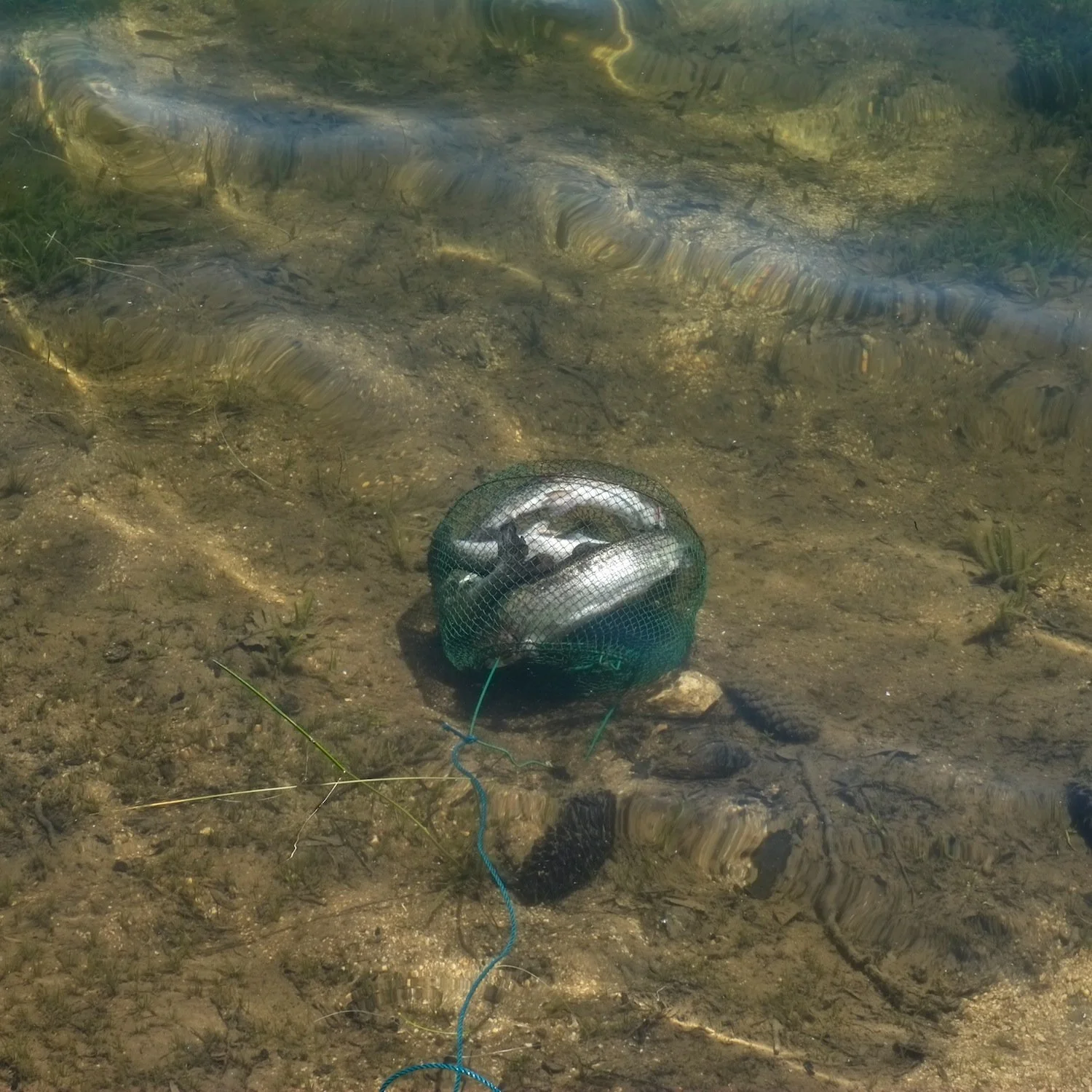 10b_Shiv Ahuja__DSF8250.jpg