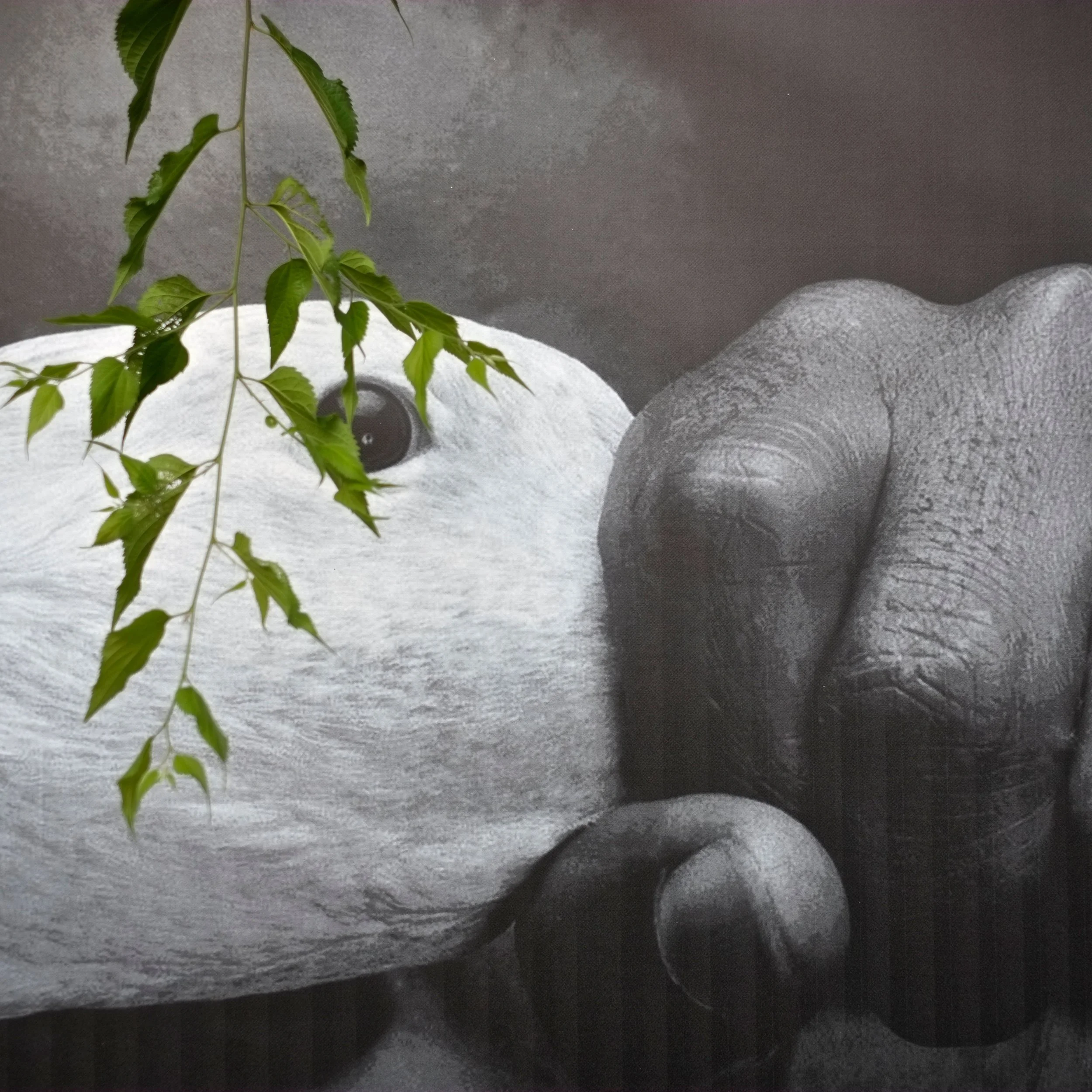 4a_Shiv Ahuja__DSF9577.jpg