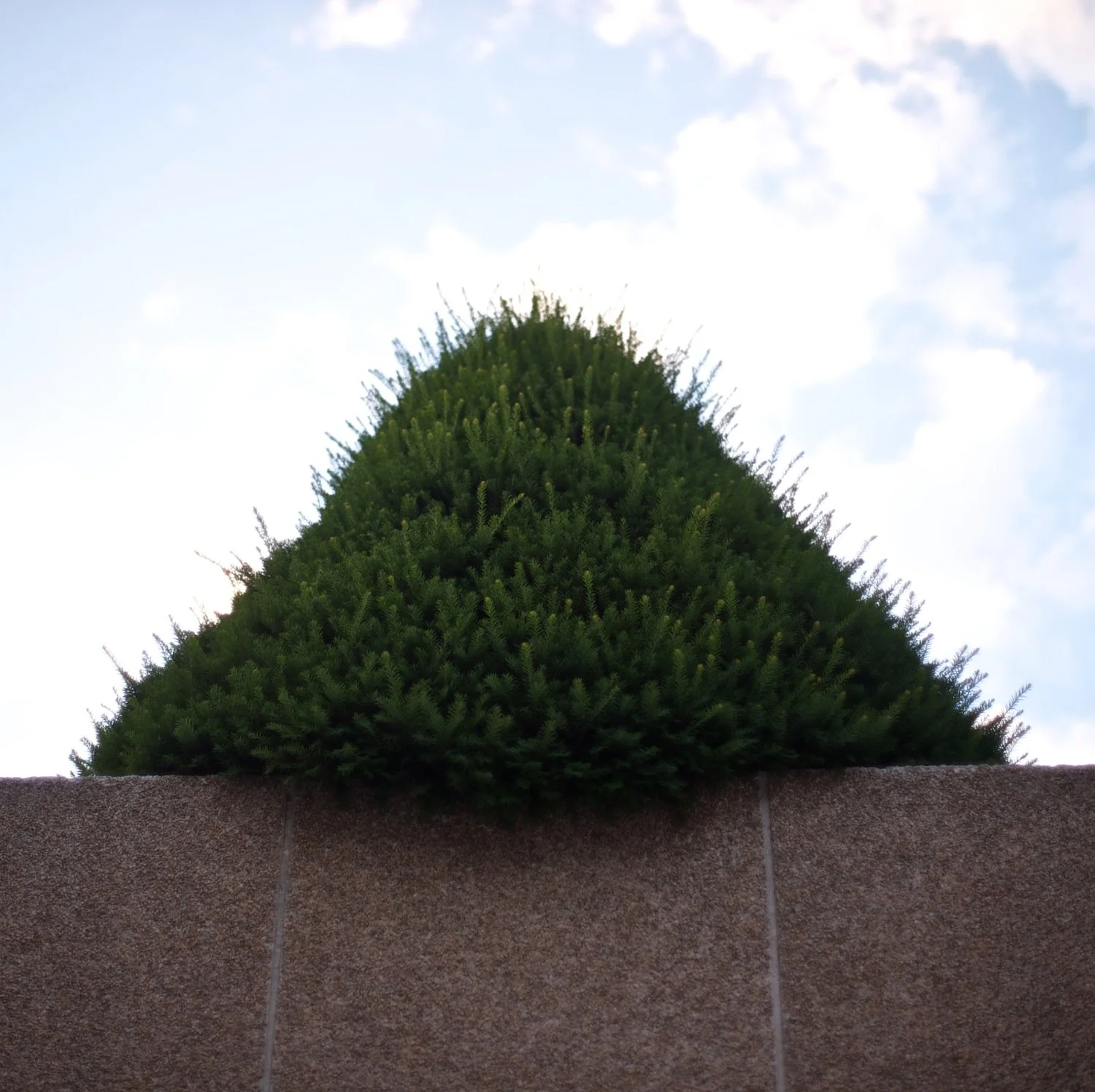 17b_Shiv Ahuja__DSC6857.jpg