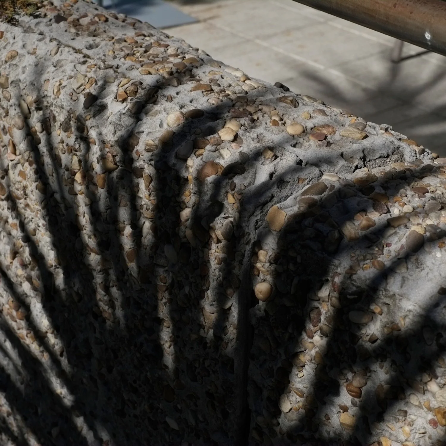 8_Shiv Ahuja__DSF8625.jpg