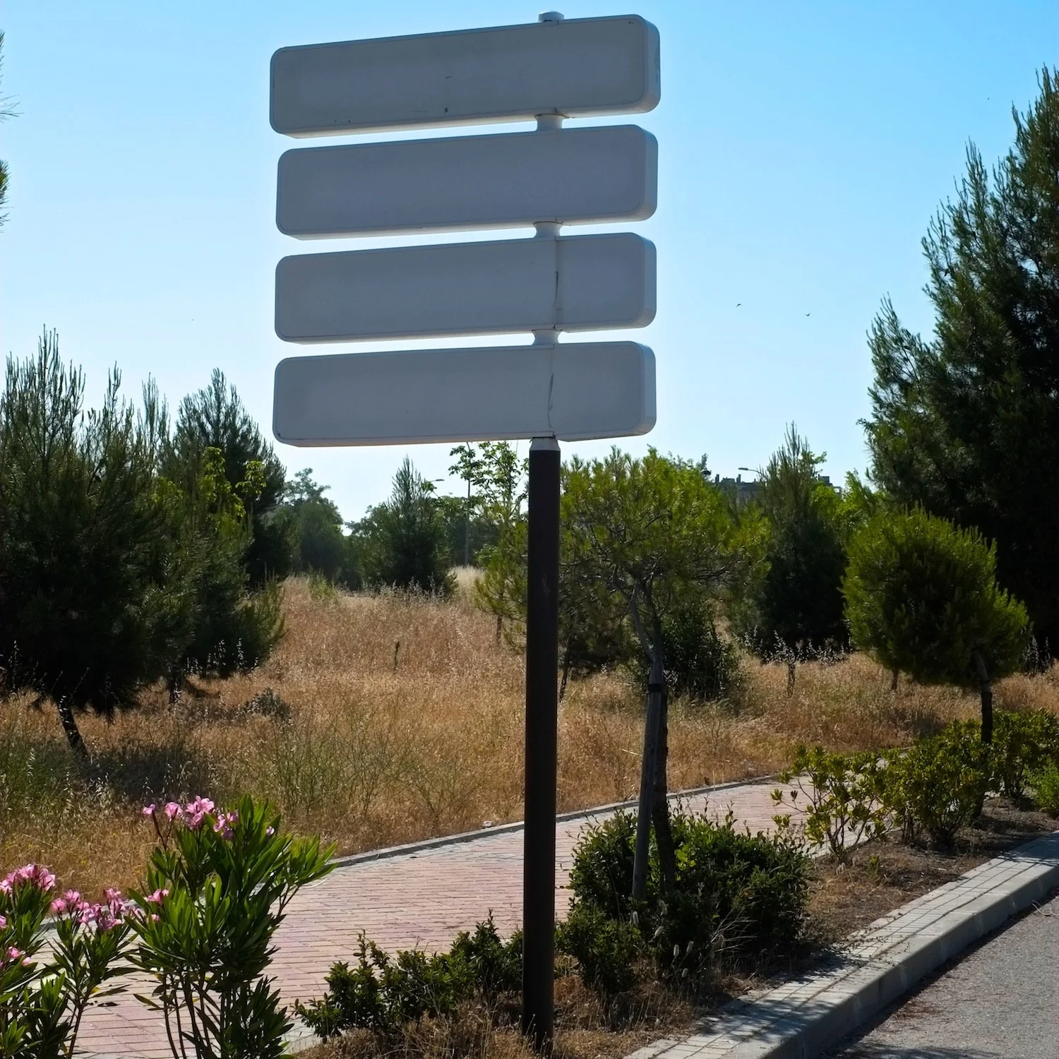 18_Shiv Ahuja__DSF8861.jpg