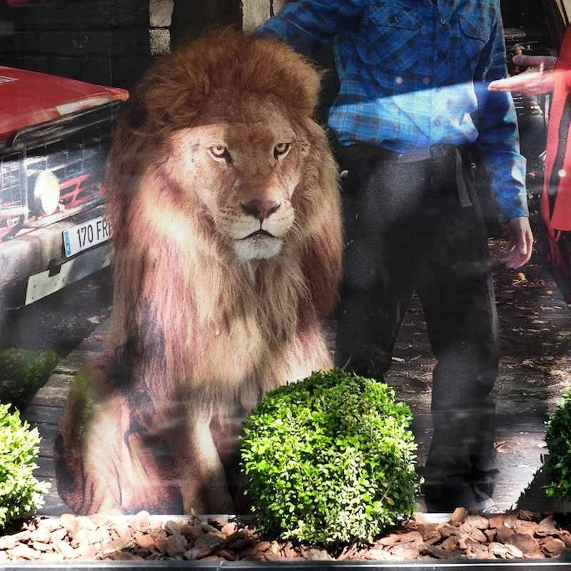 12_Shiv Ahuja__DSF8578LOW REPLACE.jpg