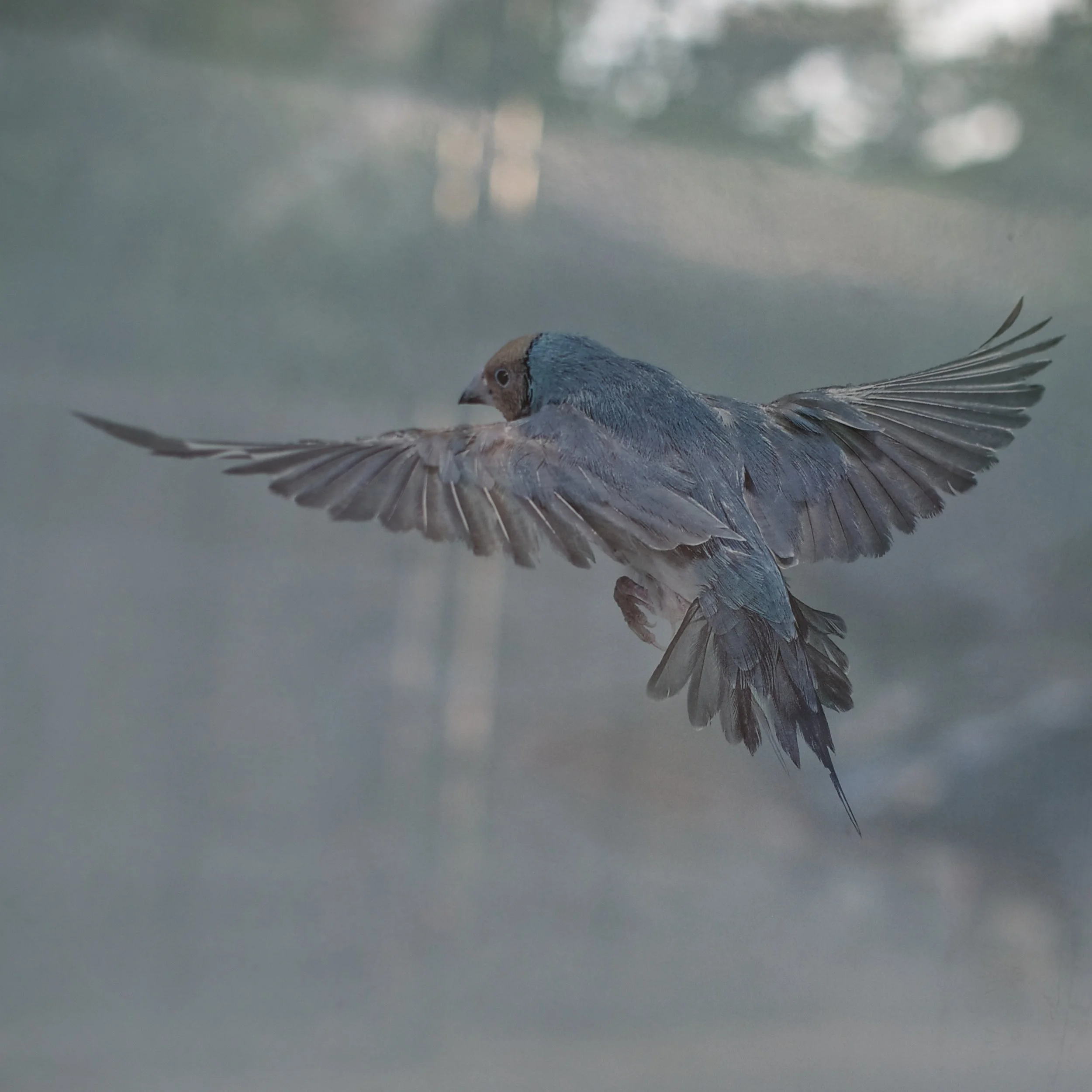 6a_Shiv Ahuja__DSC7238.jpg