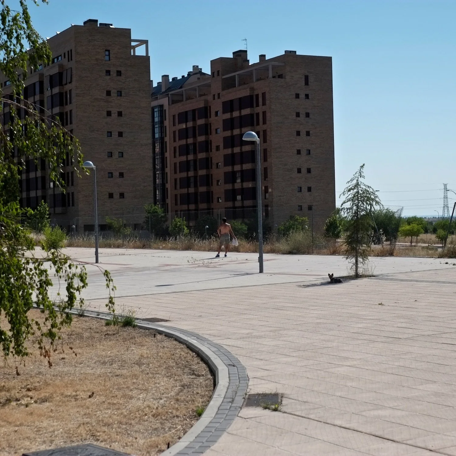 15b_Shiv Ahuja__DSF8881.jpg