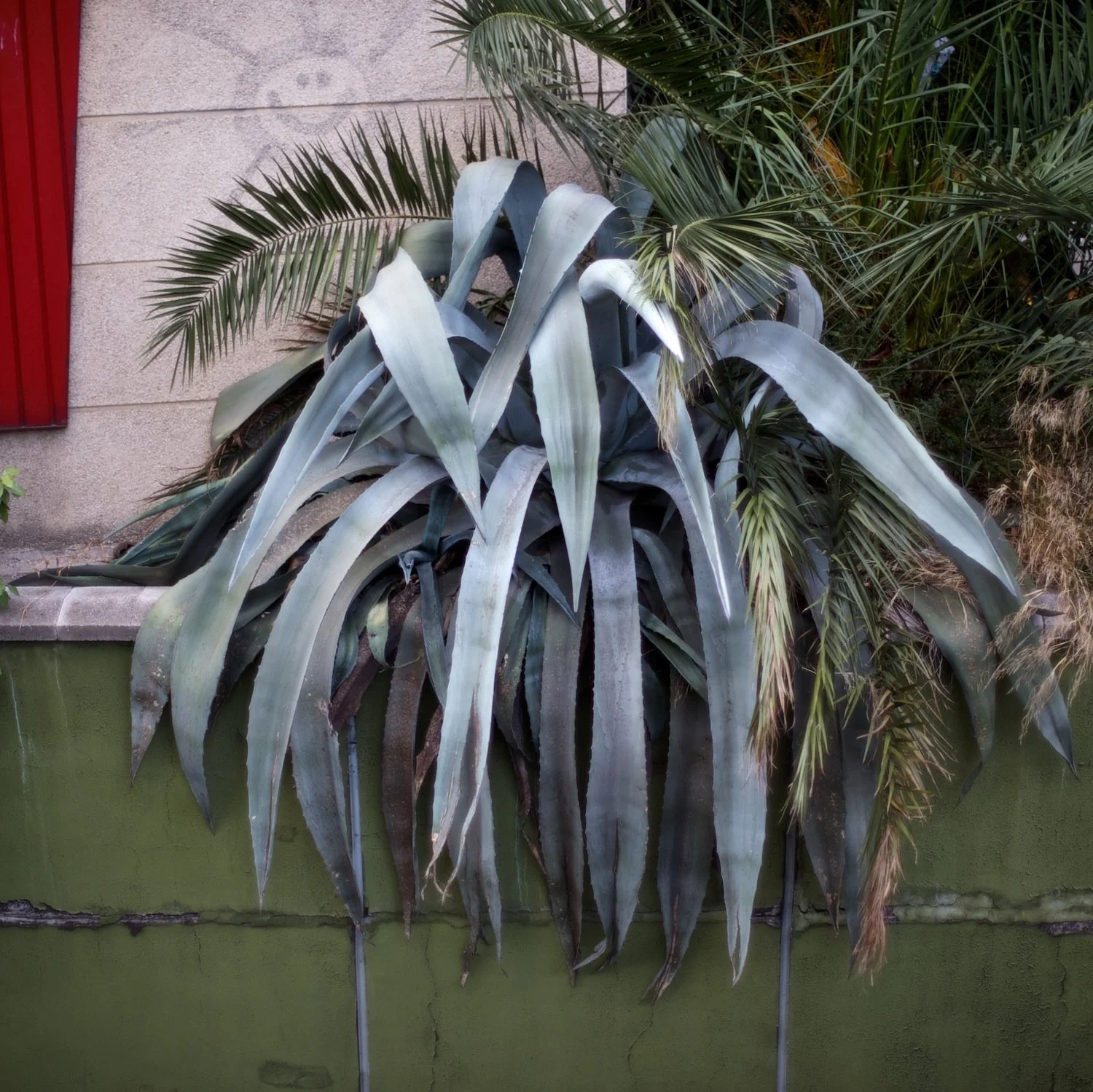 11_Shiv Ahuja__DSC7255.jpg