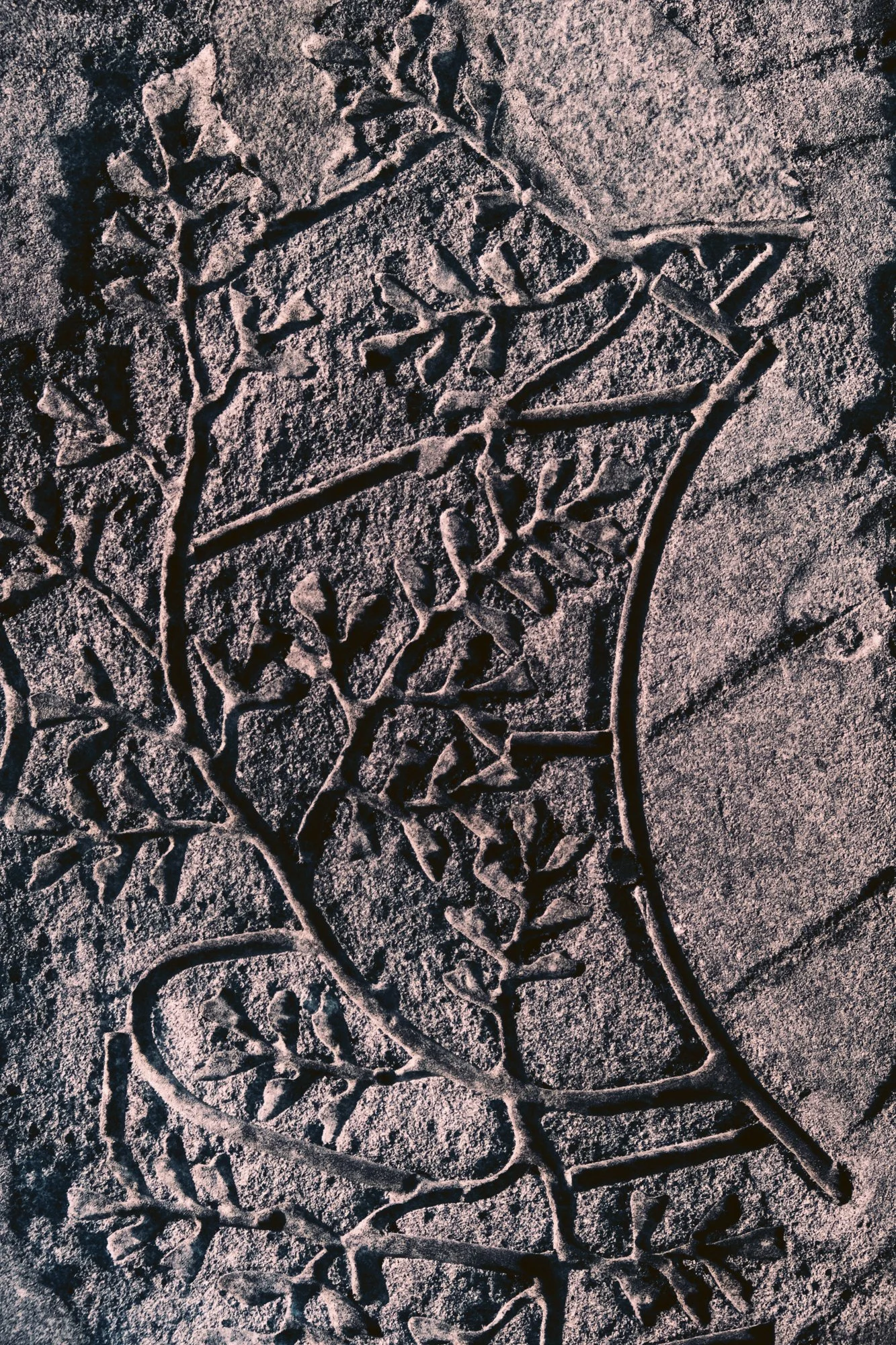 Shiv Ahuja_DSF0478_Kim Seybert_Low res.jpg