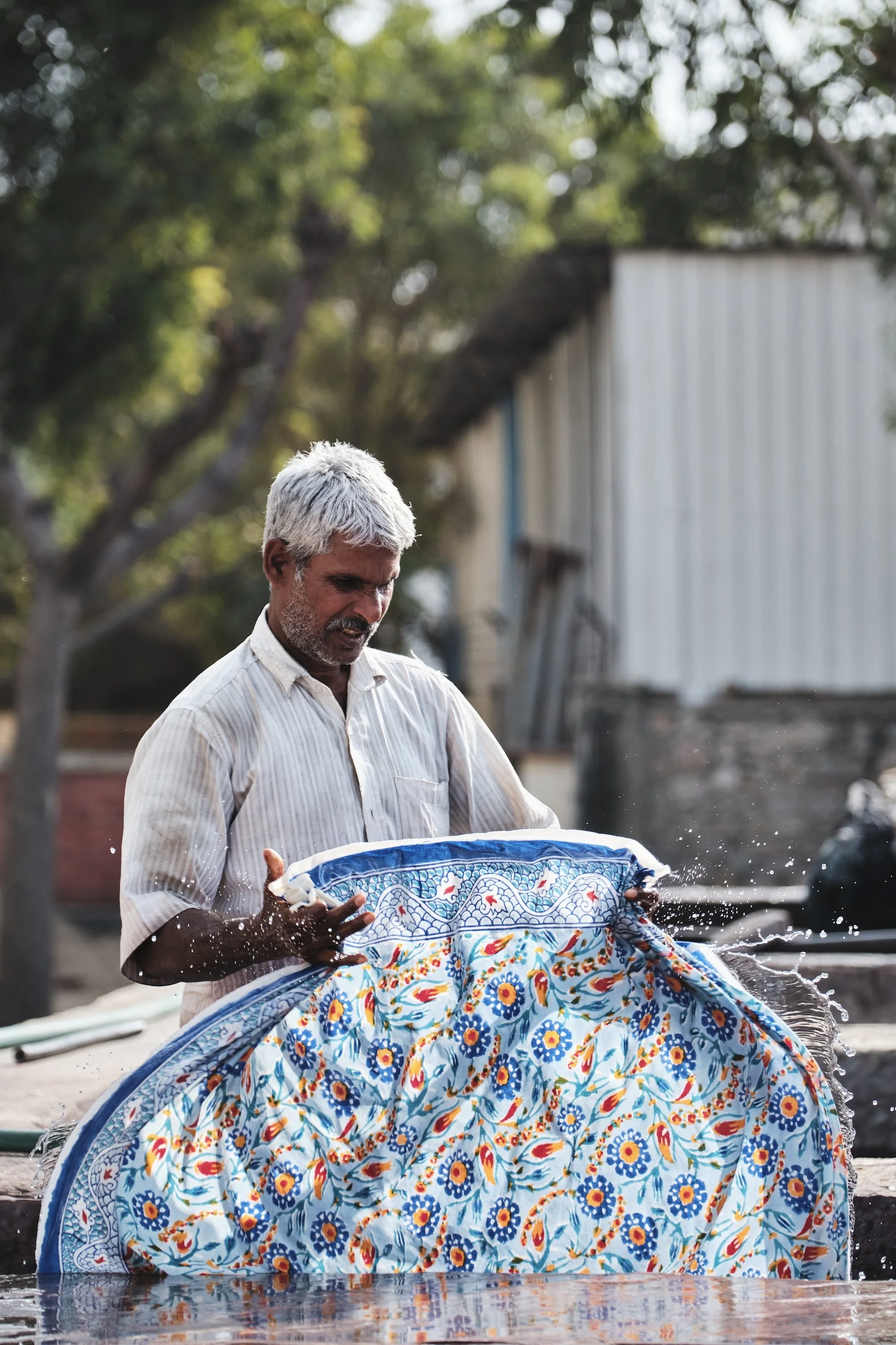 Shiv Ahuja__DSF1689.jpg