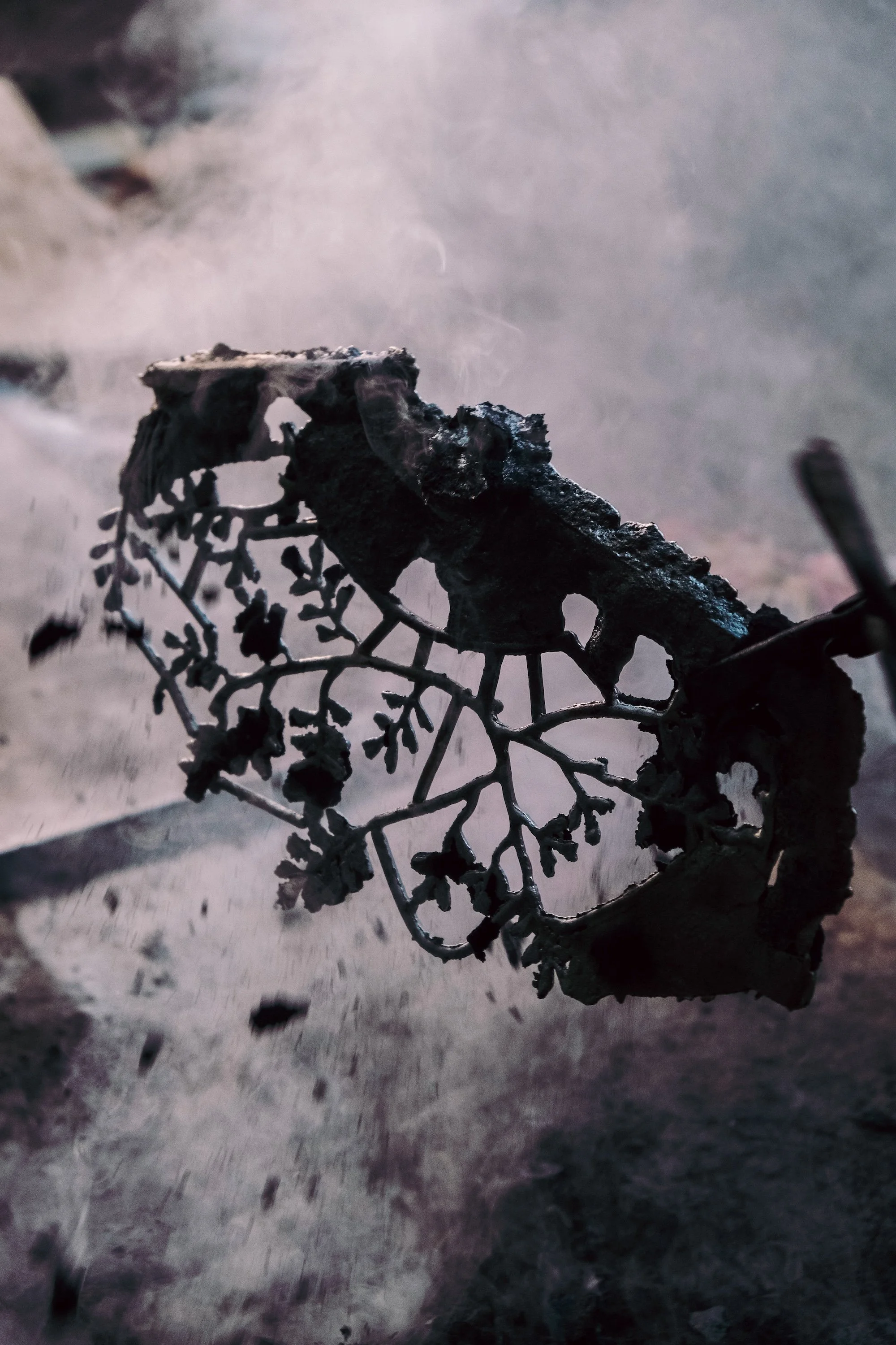 Shiv Ahuja_DSF0850_Kim Seybert_High res.jpg