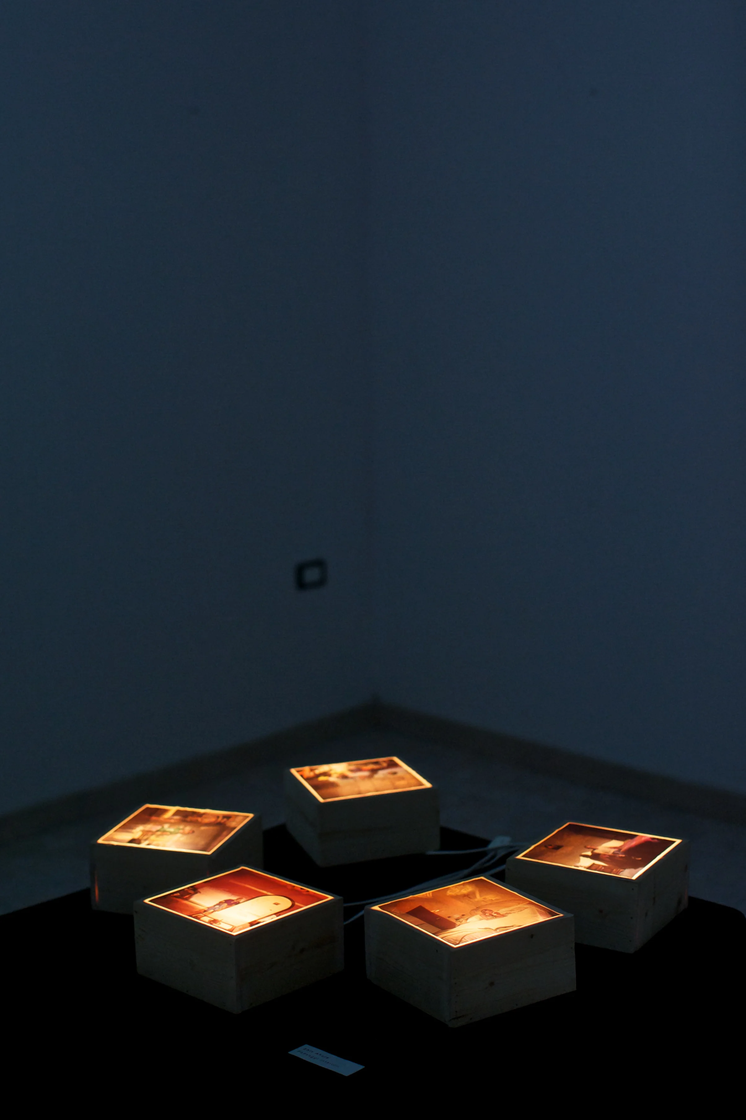 2_Shiv Ahuja__DSC1608.jpg