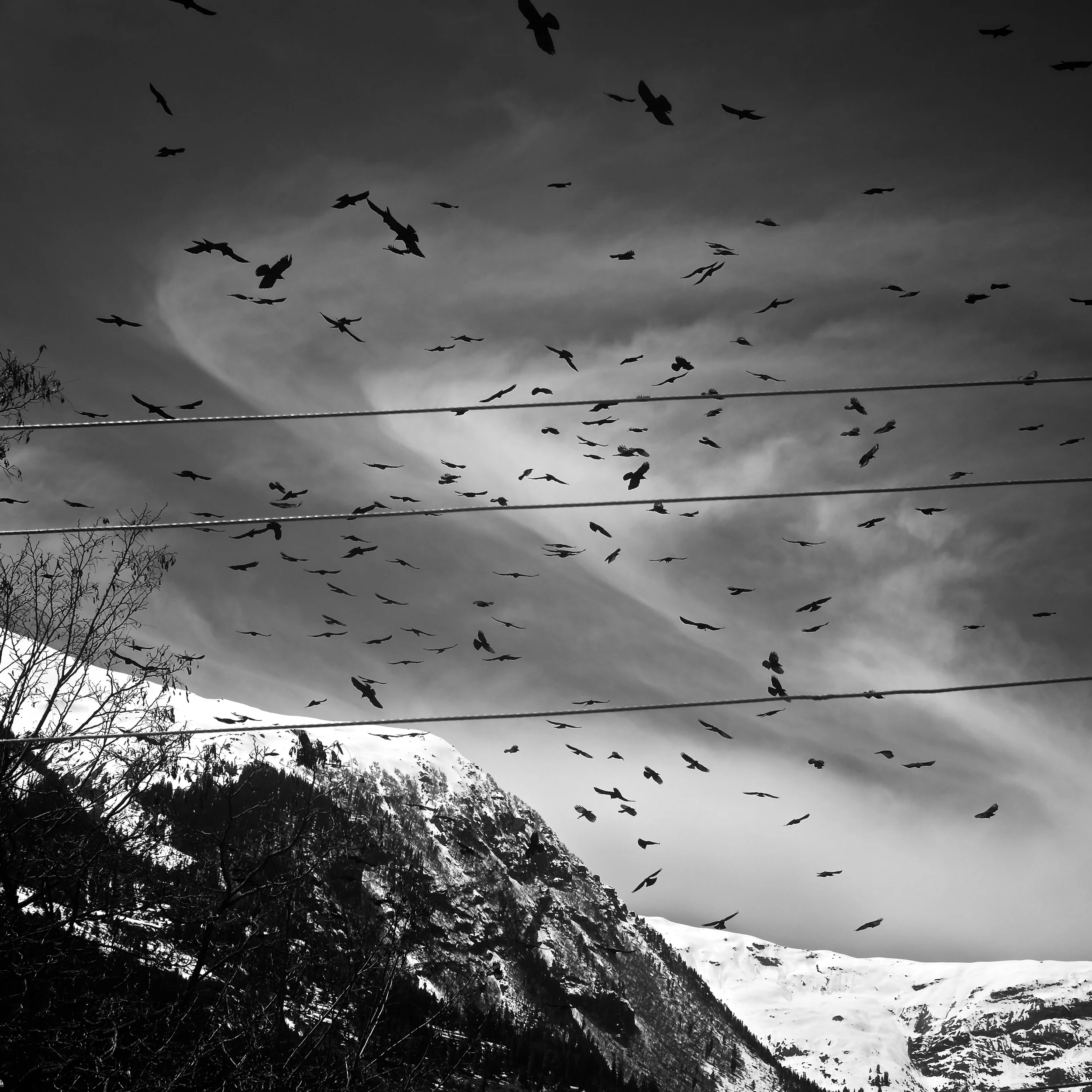 10Shiv Ahuja_DSF4995.jpg