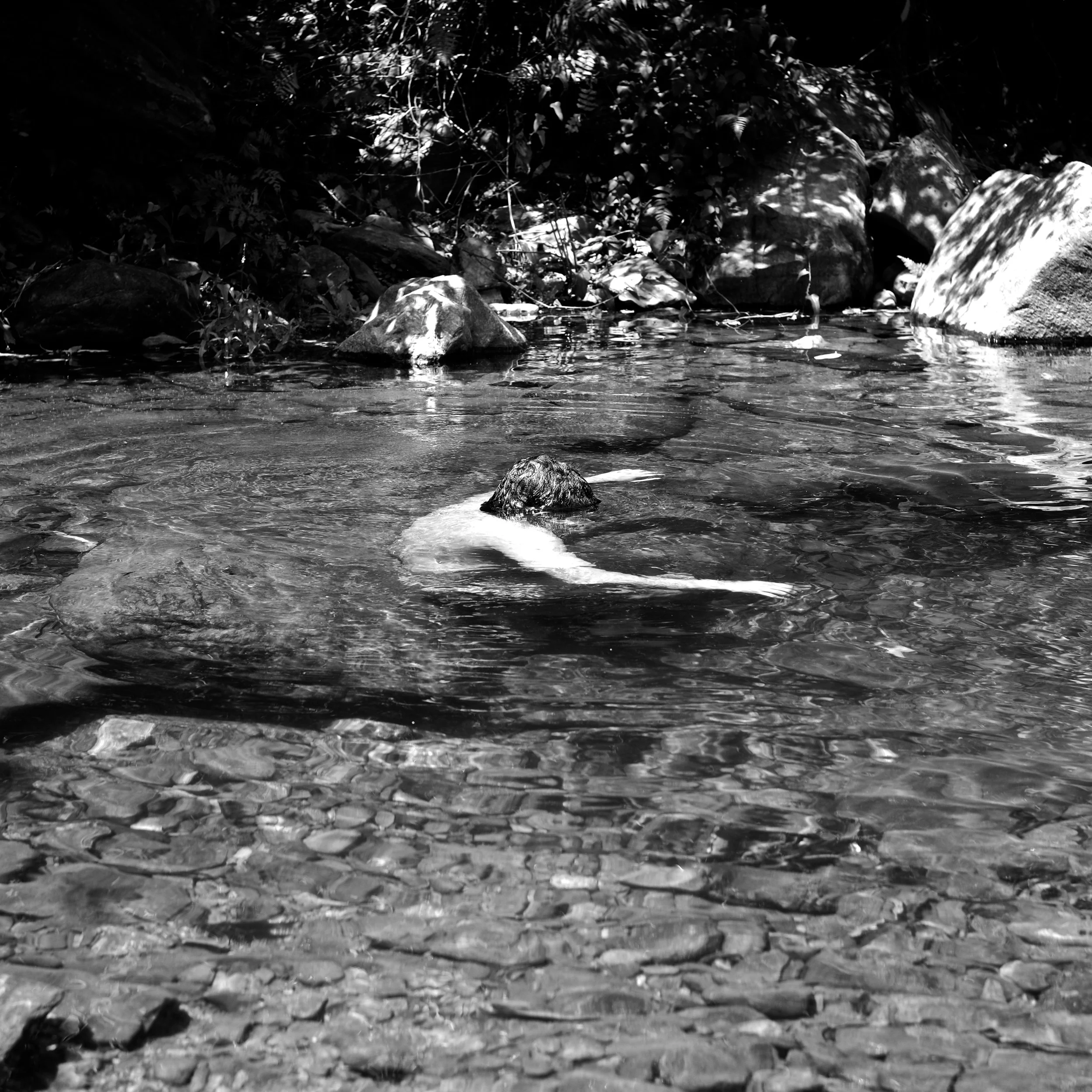 9Shiv Ahuja_DSF5184.jpg