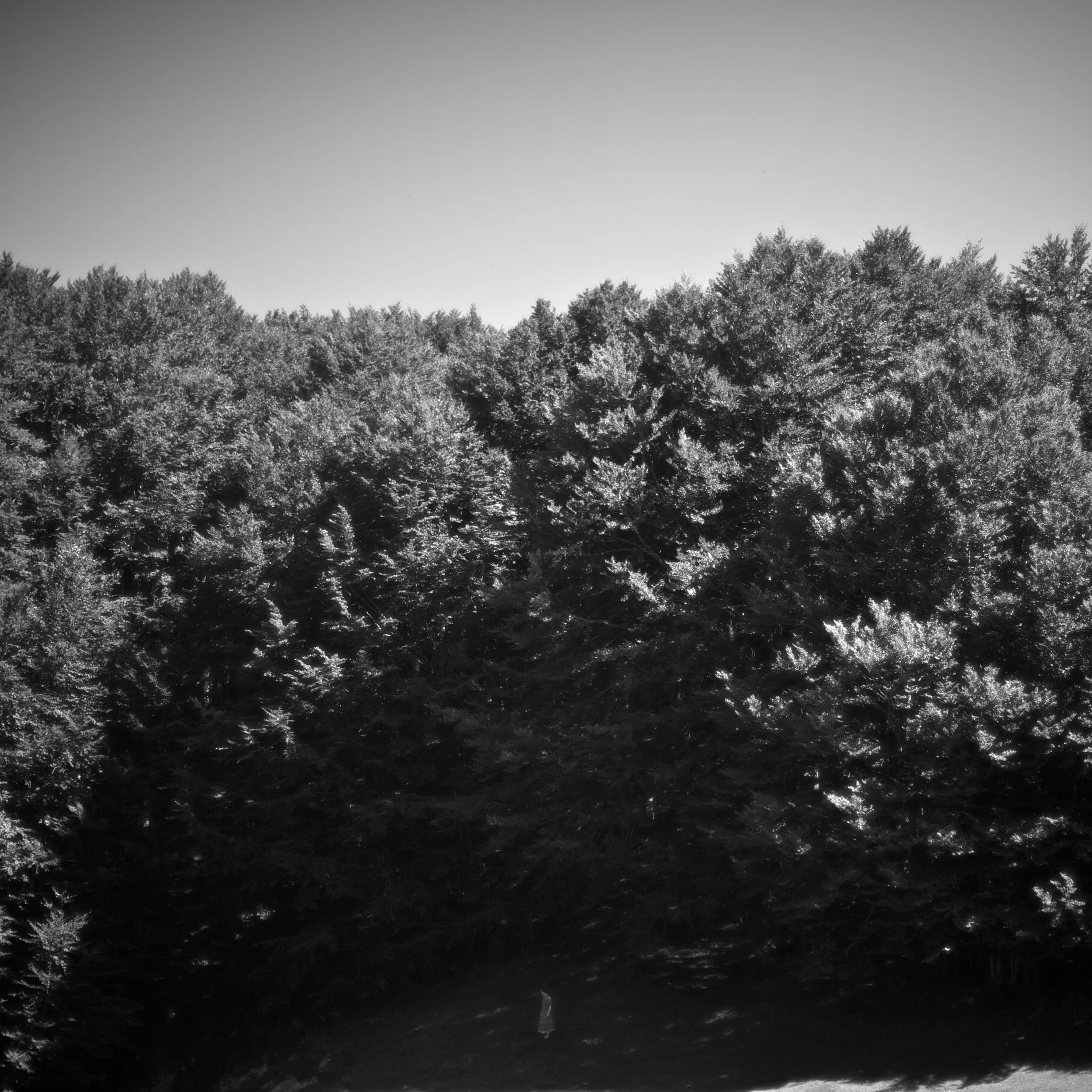 5Shiv Ahuja_DSC0783.jpg